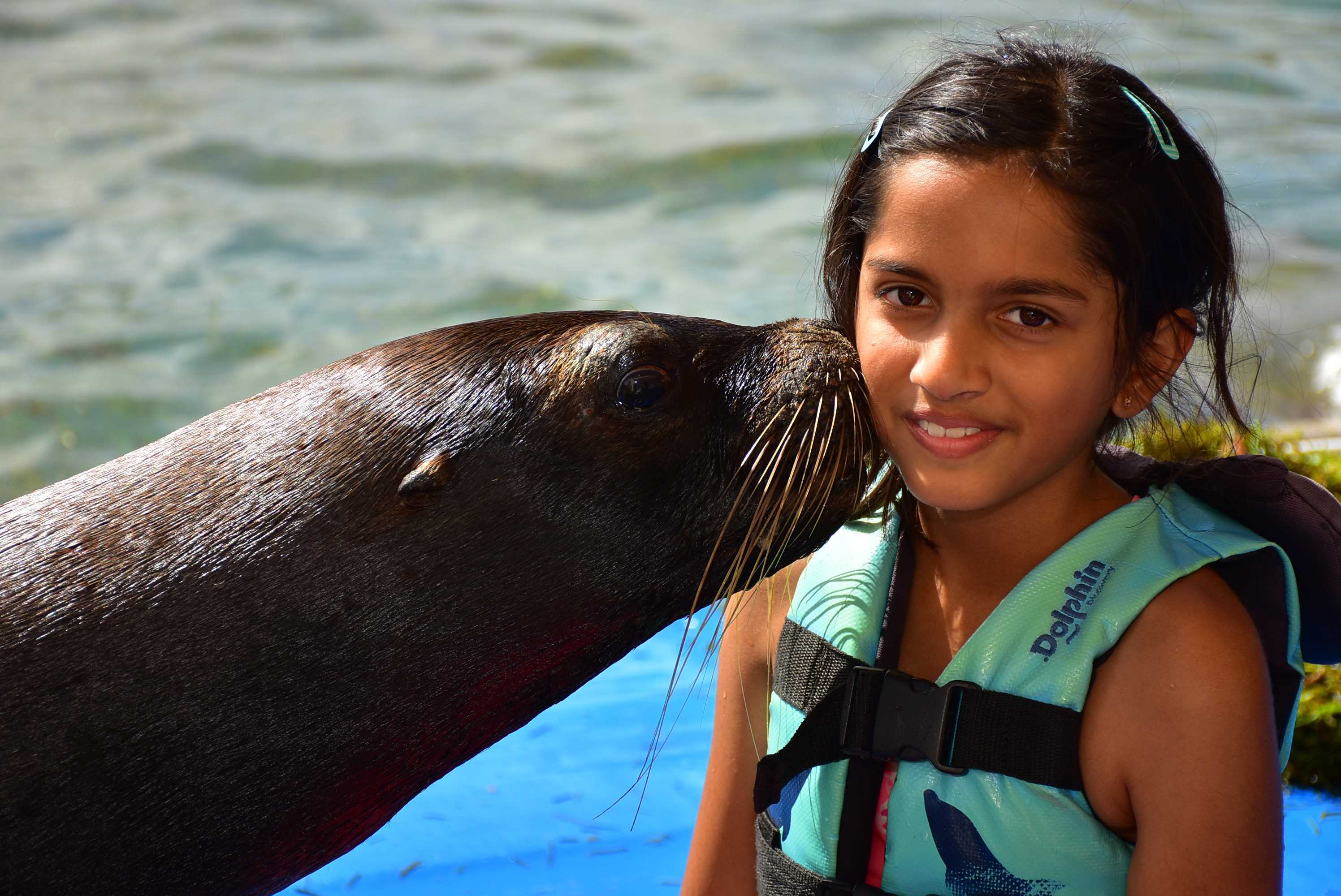 Dart V. books, biography, latest update