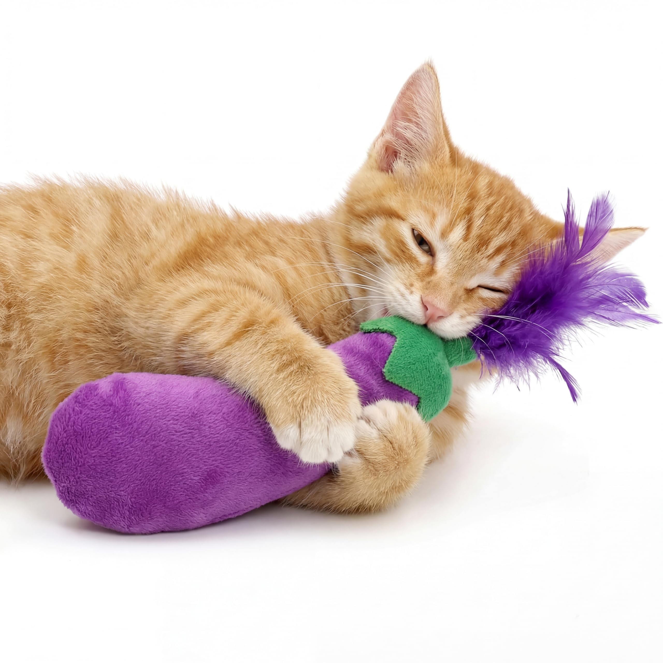 Ertzinla Catnip Toys for Cats 2 Pack - Eggplant Plush Cat Toys with Natural Catnip, Interactive Kitten Chew Toys, Soft Plush Cat Play Toys for Indoor Cats