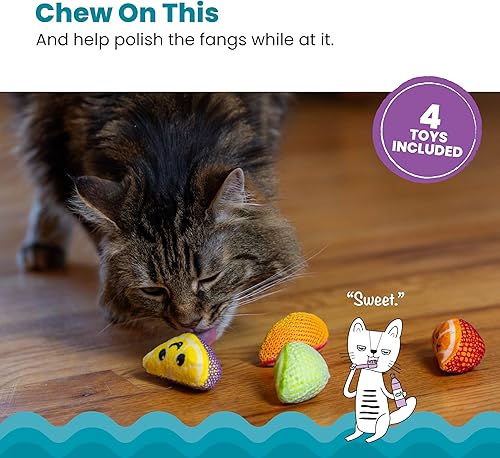 Miniatura 2 de Catstages Cuñas dentales de frutas, 4 unidades, suaves y texturizados, juguetes masticables de hierba gatera que ayudan a limpiar los dientes,