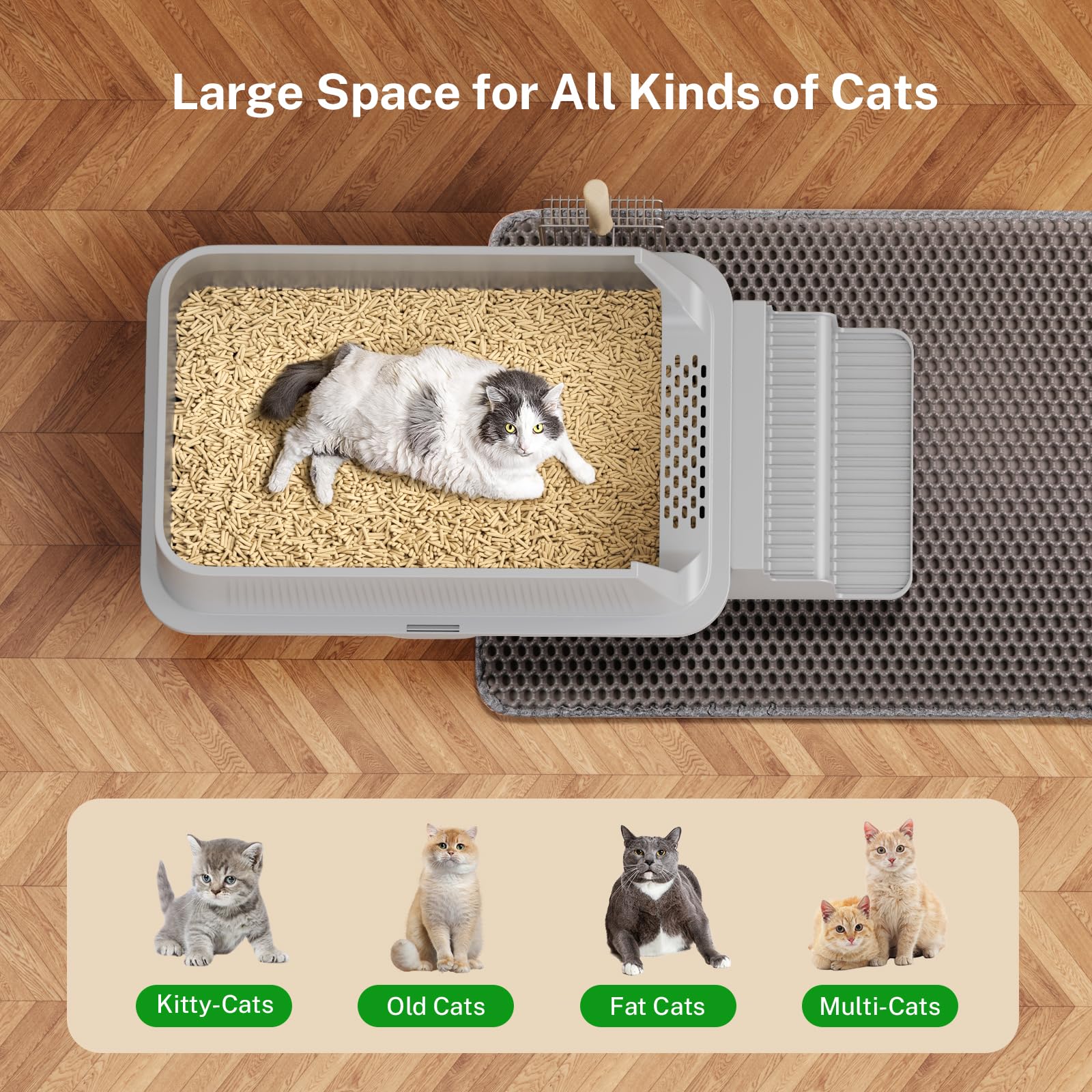 PKBD XXL Katzenklo Edelstahl, 60x40x30cm, 32L mit Abnehmbarer Abdeckung und Auslaufsicherer Hoher Rand, Offenes Katzenklo mit XL-Matte, Metallschaufel und Filterpedal, Leicht zu Reinigen