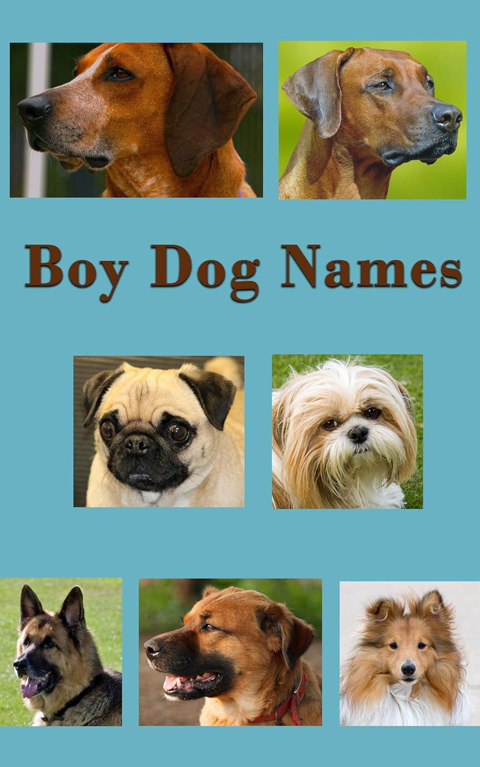 Boy Dog Names