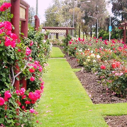 Miniatura 5 de DasTior 40 estacas de anclaje de paisaje de jardín, estacas de 10 pulgadas para tablas de terraza, tela de malezas, decoración inflable de jardín