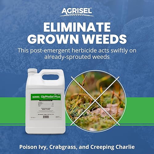 Miniatura 10 de GlyPhoSel Pro - Herbicida para eliminar malas hierbas difíciles de matar, de bajo olor, fácil de mezclar, seguro para mascotas, paquete de 3 guantes