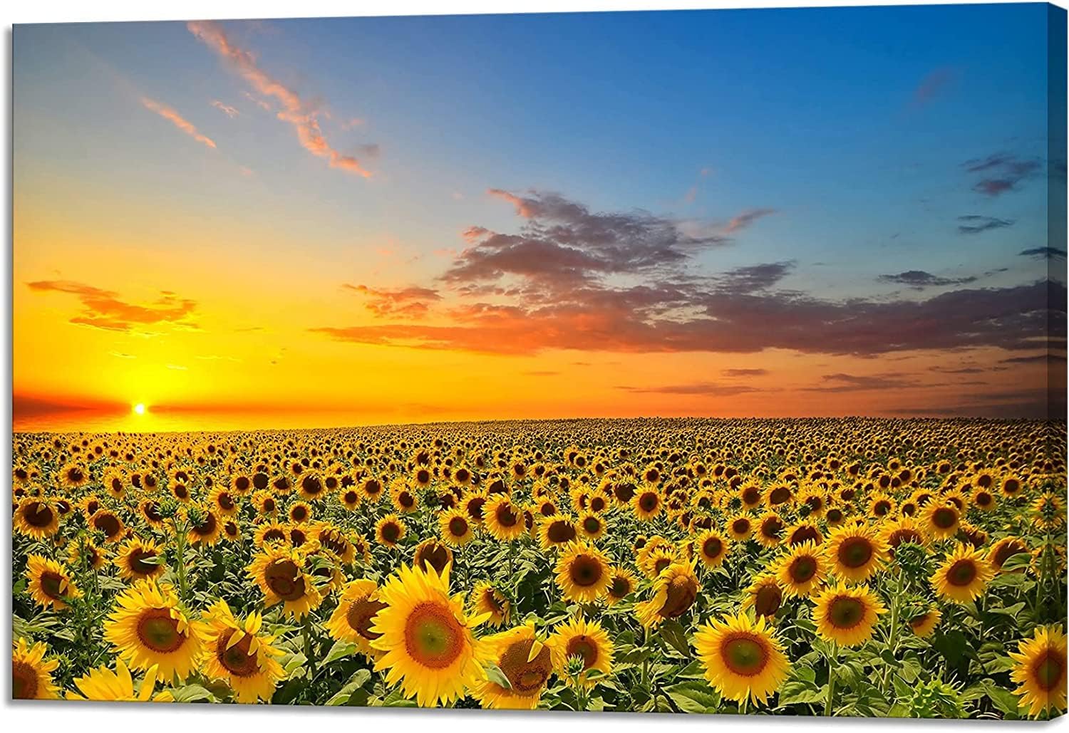 アートパネル ひまわり 01 30x40cm おしゃれ ウォールインテリア キャンバス絵画 ギフト ポスター モダン的な部屋飾り 向日葵 壁掛け 壁飾り 木枠付きの完成品 風景画 風景絵画 国内在庫 向日葵