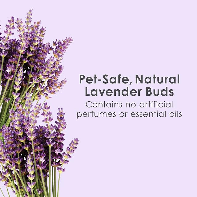 Foto 5 de 8 de Kaytee Ropa de Cama de Lavanda Limpia y acogedora, 1000 Pulgadas cúbicas