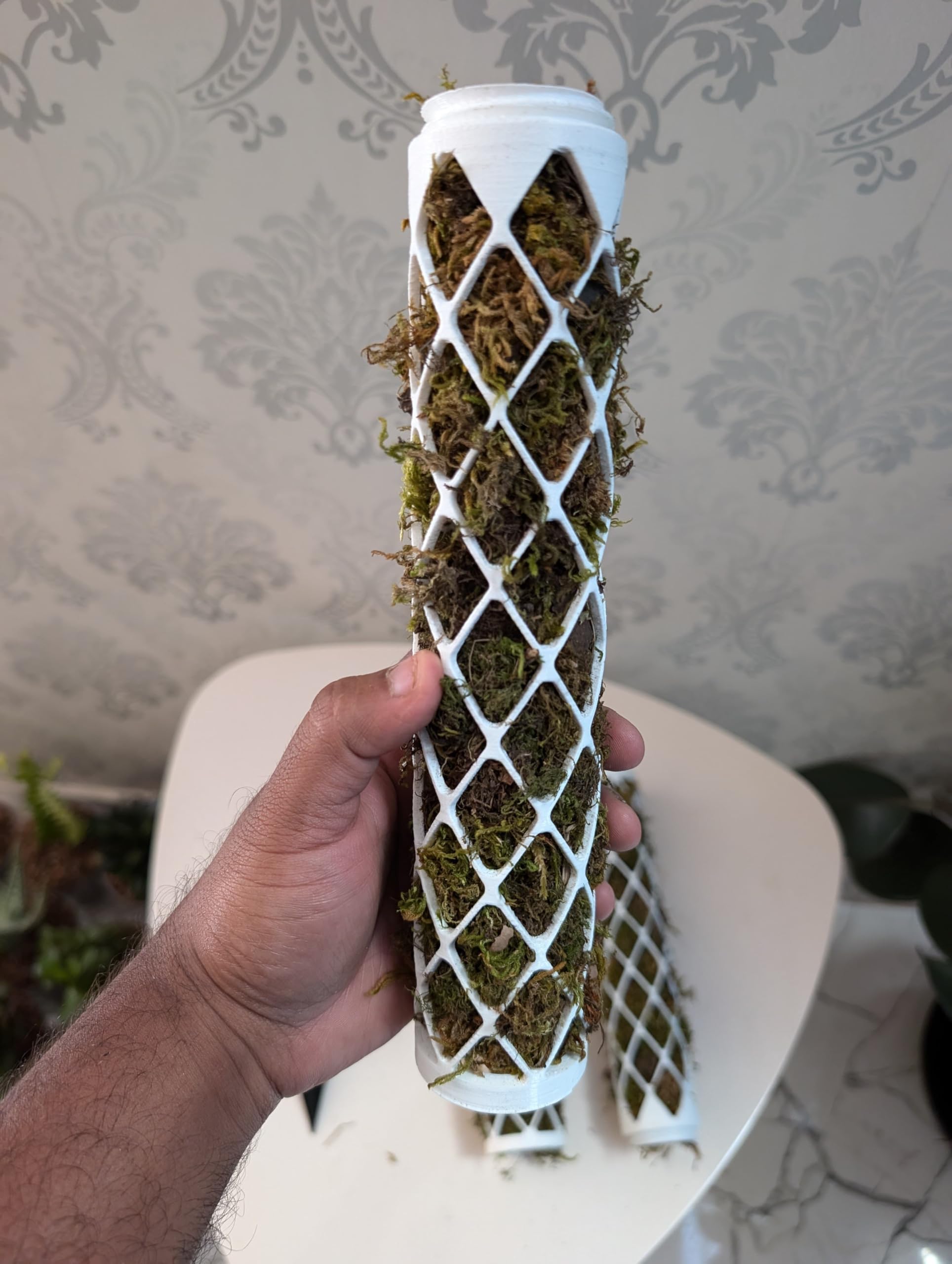 littlejungle Modern Extendable Mosspole