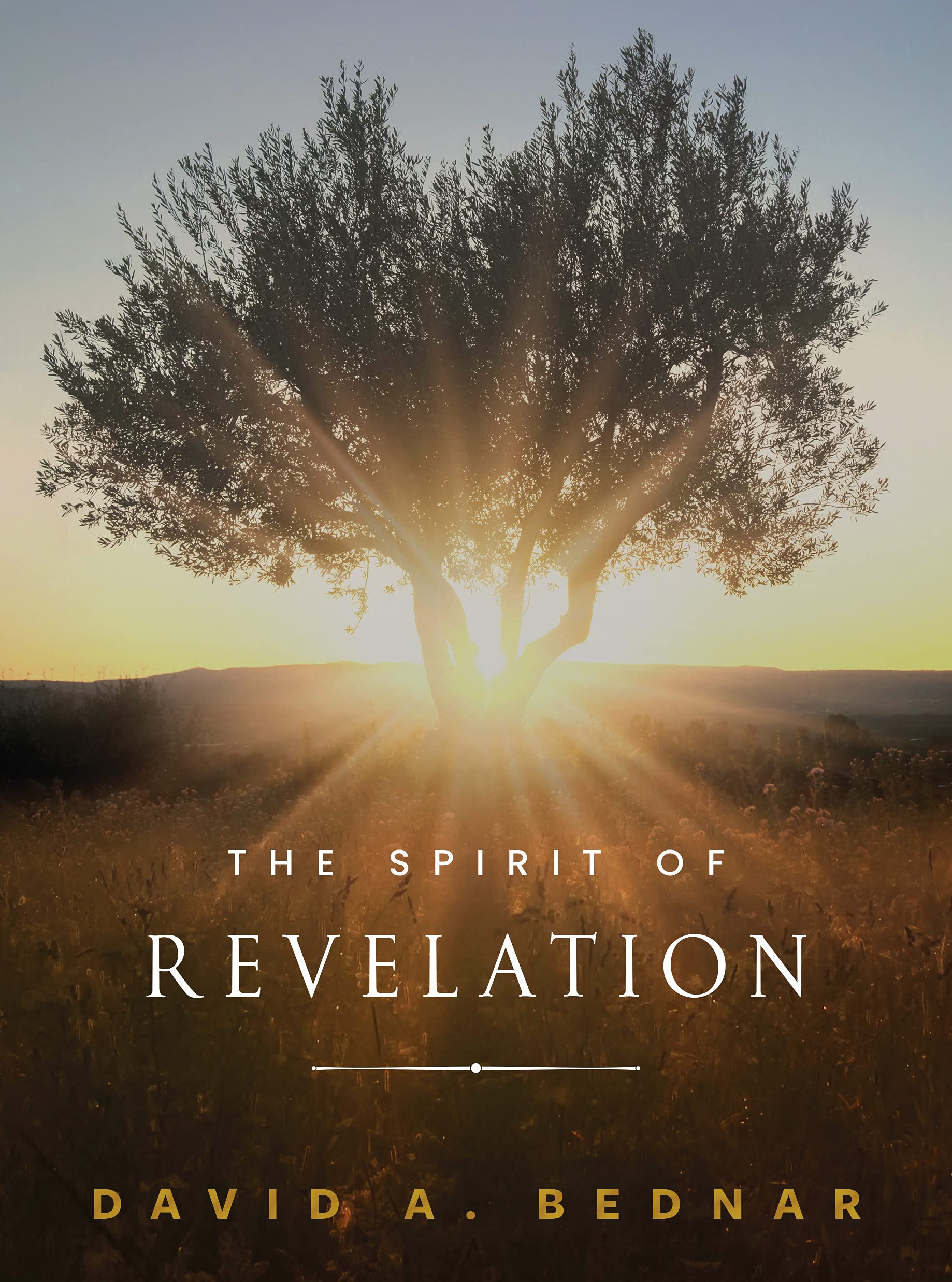 Buy The Spirit of Revelation — BookShops.in