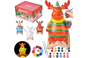 EFLSJIO Paint Your Own Christmas Elk Lamp Kit: Unleash Kids' Creativity