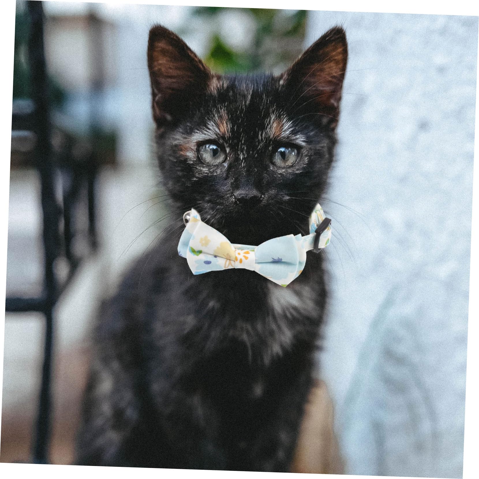 Kisangel 10pièces Collier Décoratif pour Chat Et Chiot Et Résistant Accessoire avec Clochette Et Nœud Motif Floral Et Carreaux