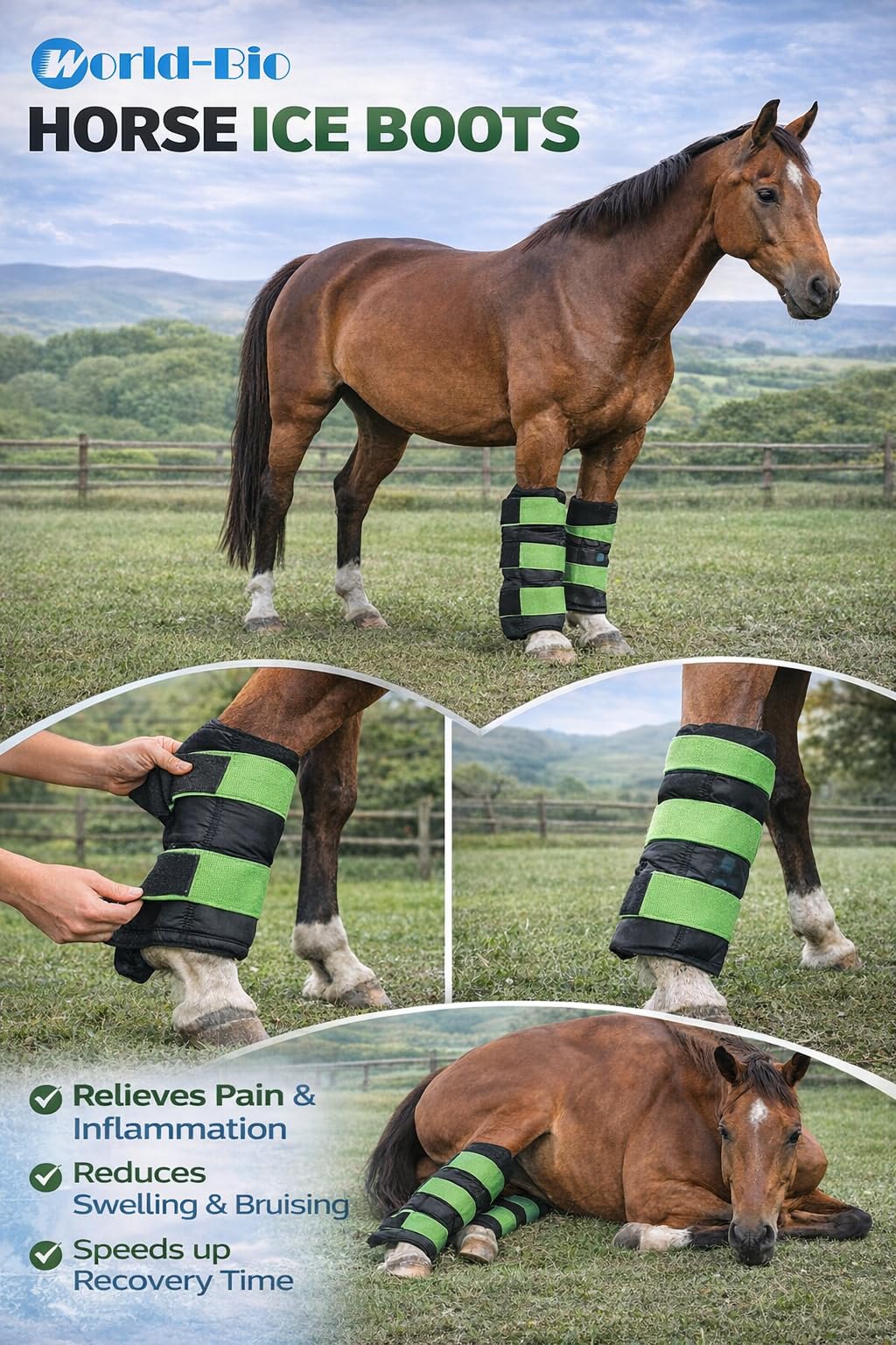 Botas de hielo de caballo para lesiones de caballo, dolor muscular, enfriar las piernas, abrigos fríos para hock, tobillo, rodilla, piernas, botas y pezos, negro verde, 1 par (2 paquetes)