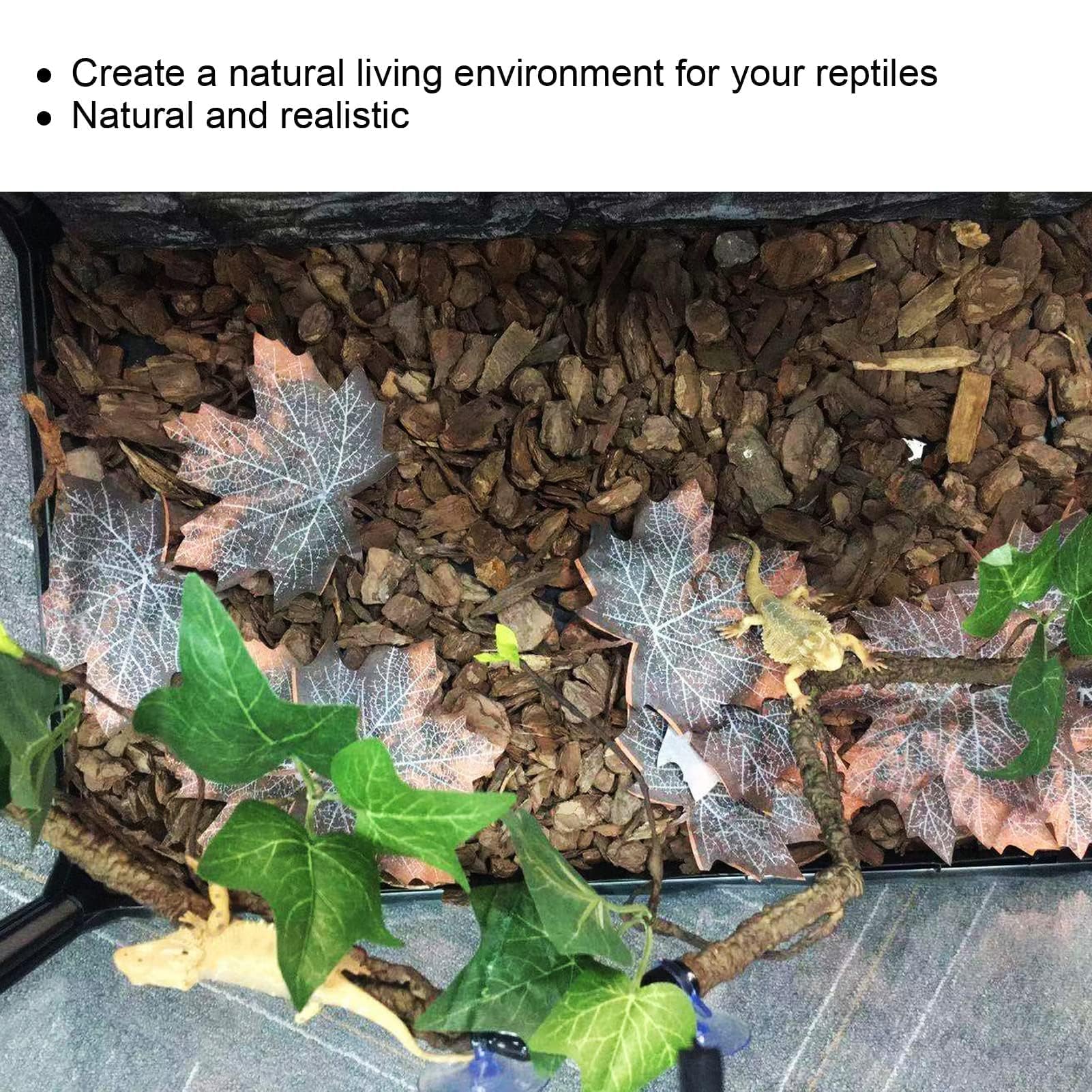 Decoración De Ramas De Reptil, Decoración De Plantas para Terrarios Rama De Esquina 2 Piezas De Enredaderas Rama De Esquina Guirnalda De Plantas con Ventosa para Anfibios, Lagartos, Serpientes