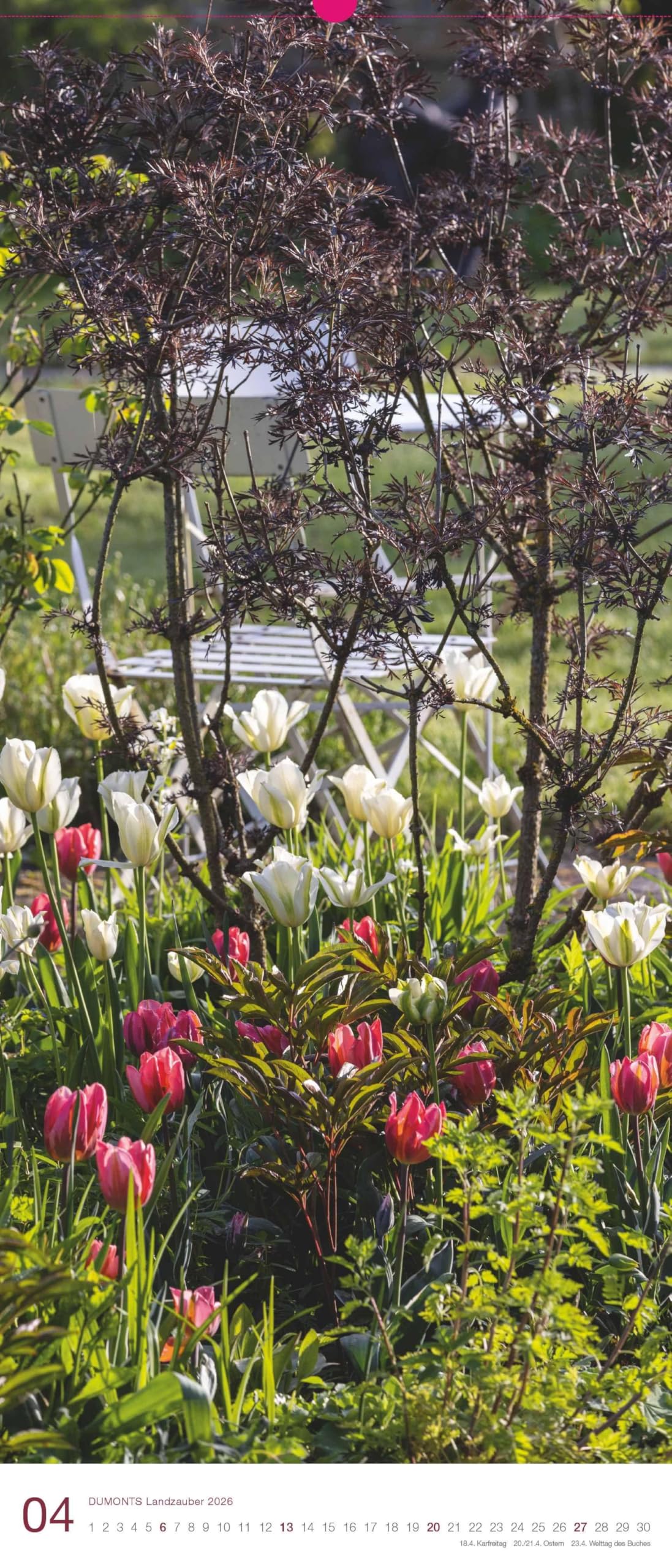 DUMONT - Landzauber 2026 – Wandkalender 30 x 70 cm mit stimmungsvollen Garten- und Landleben-Motiven, dekorativer Kalender für Zuhause