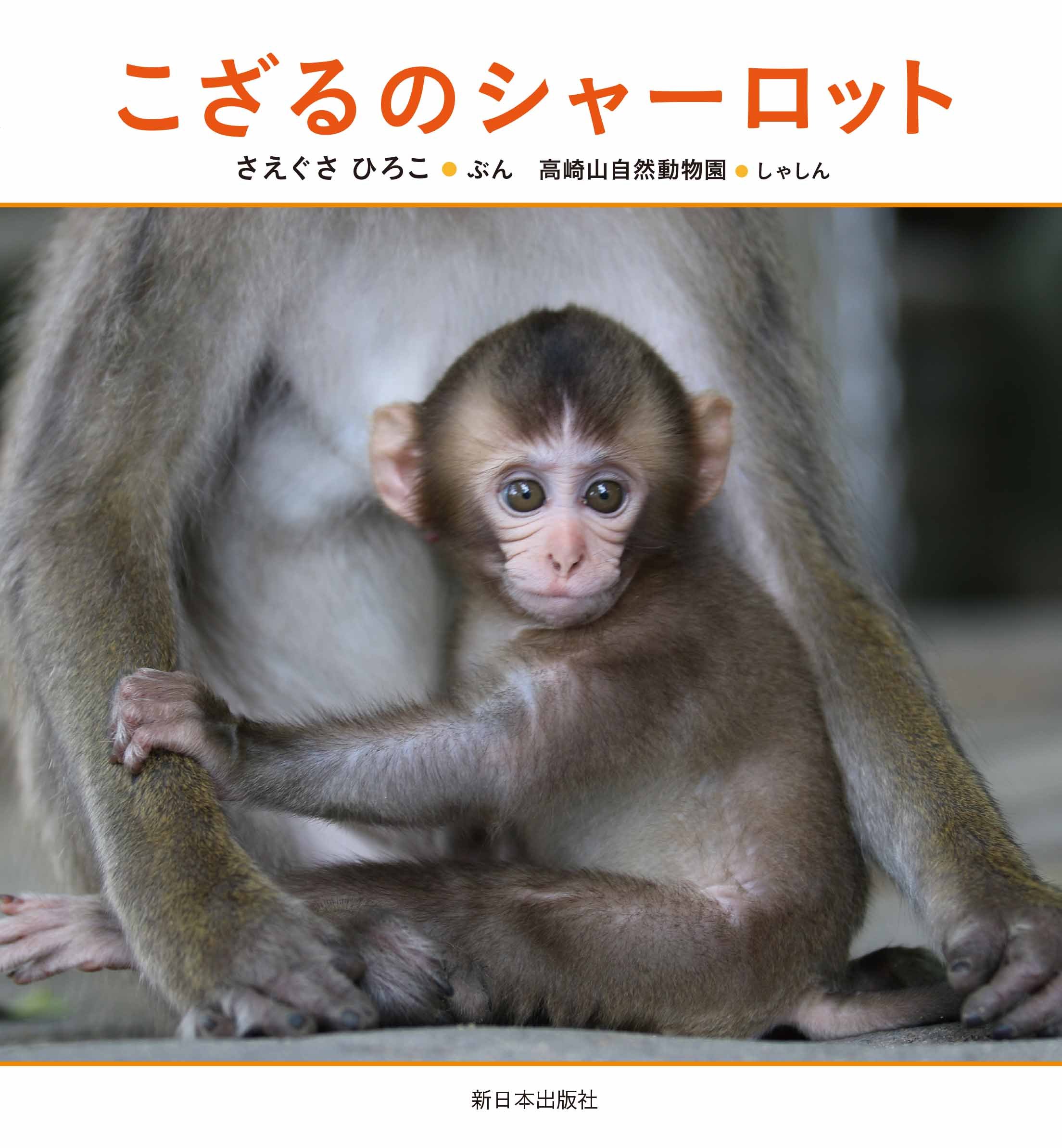 こざるのシャーロット | さえぐさひろこ, 高崎山自然動物園 |本 | 通販