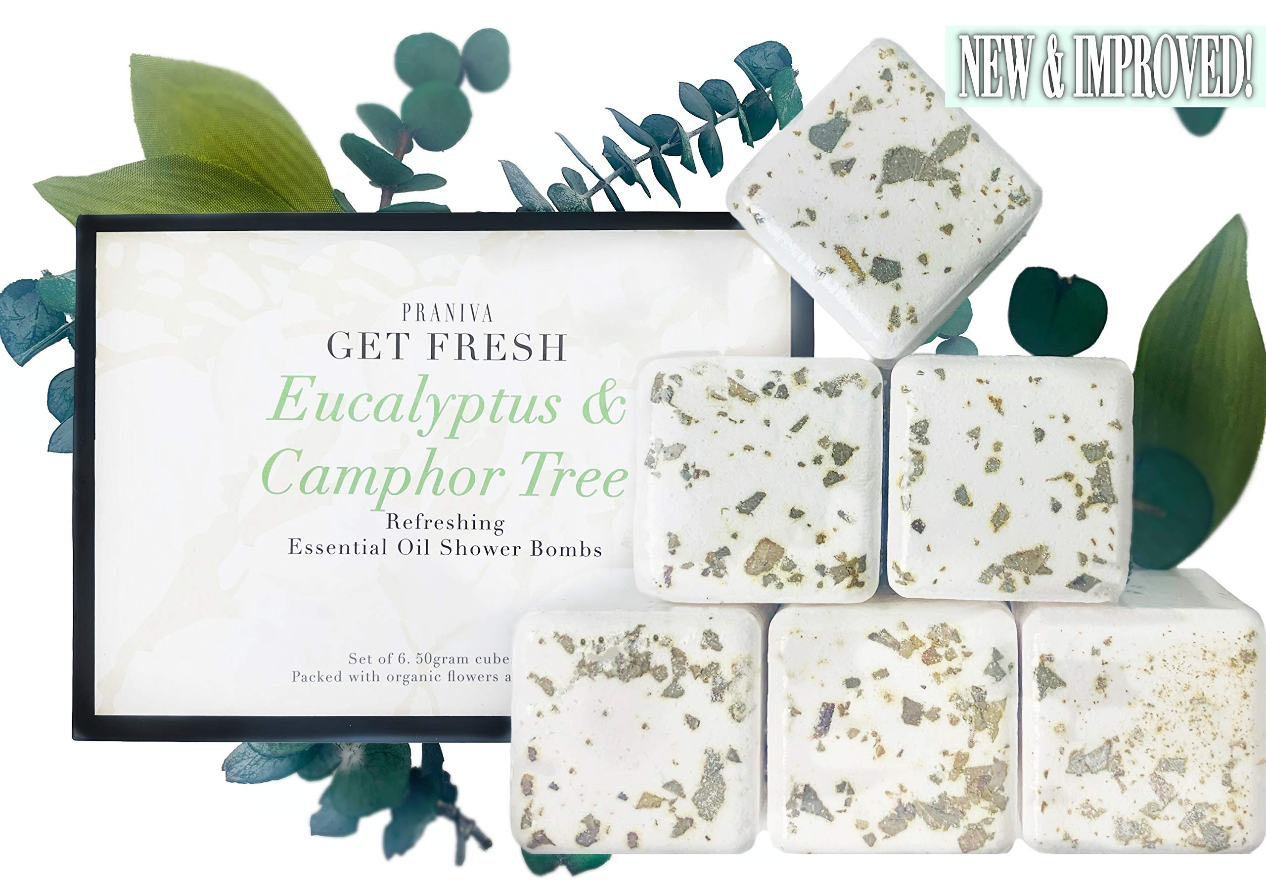 Buy Shower Steamers Eucalyptus Aromatherapy Bombs Eucalyptus Shower