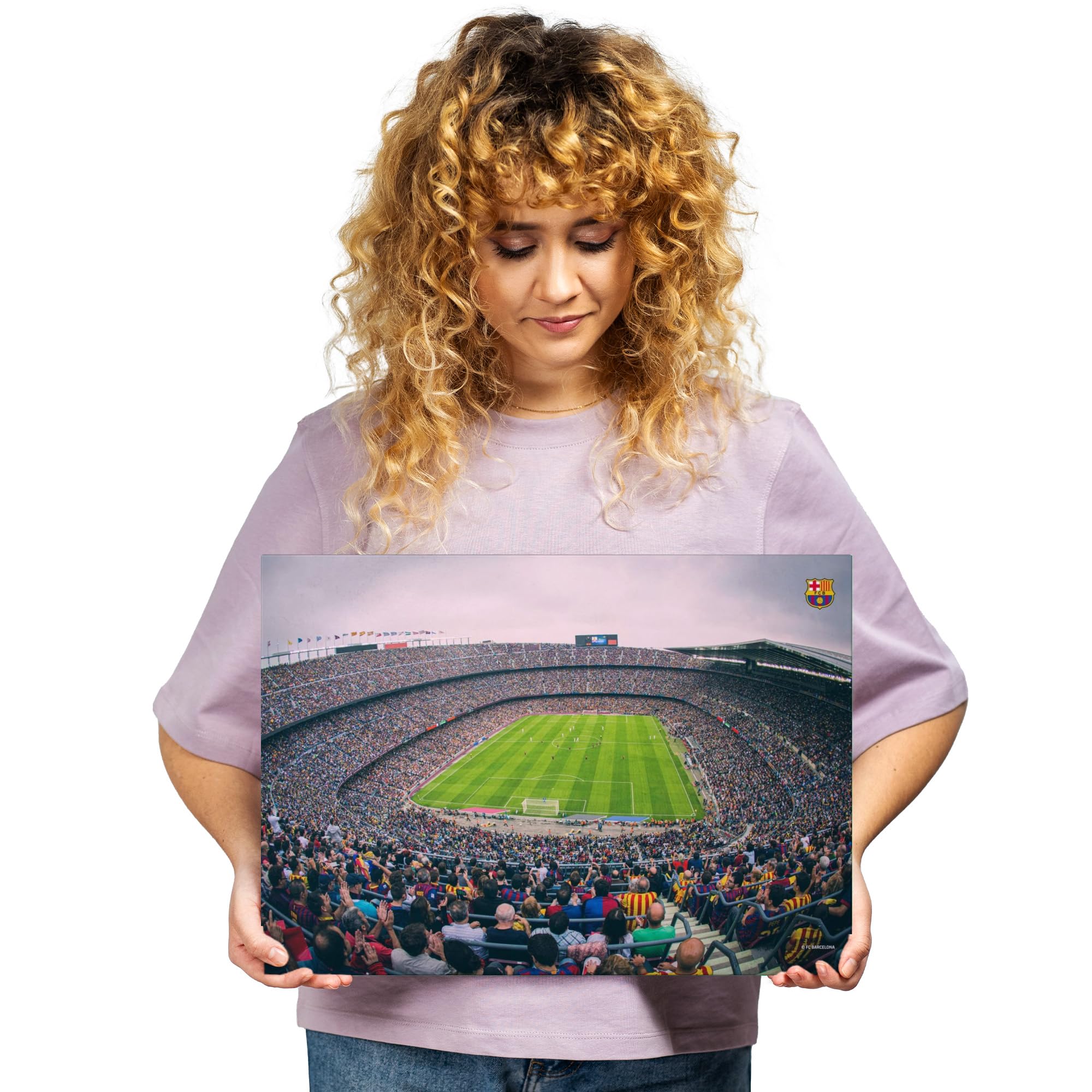 Displate - Poster in metallo – montaggio magnetico – FC Barcelona – Camp Nou – Sector view – Dimensione M – 32 x 45 cm opaco