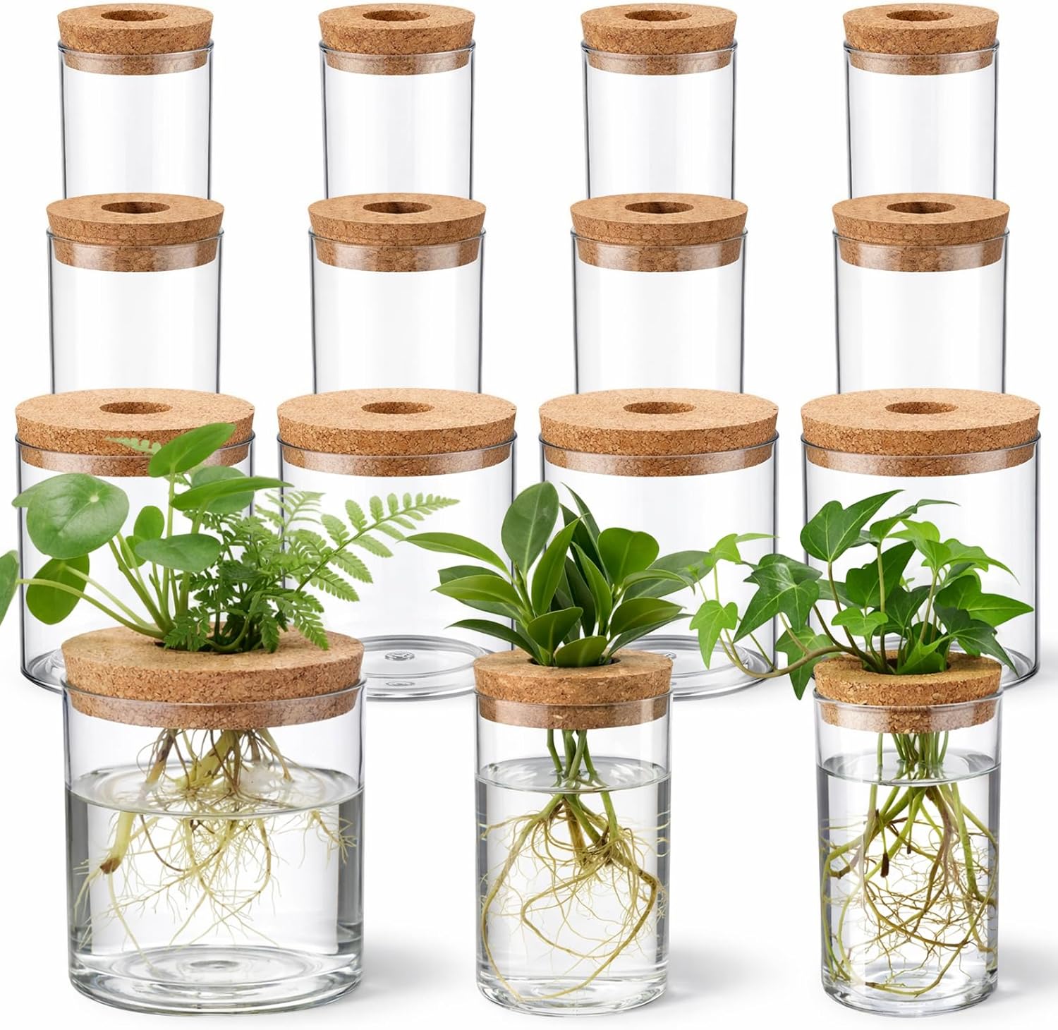 12 Pack Plant Propagation Station with Hole Lid Plant Propagation Jars Plants Plastic Propagations Stations Planter Vase Hydroponic Vases for Home Desktop Office Decoration, 3 Sizes