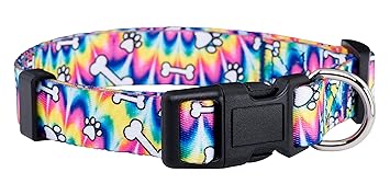 Native Pup Tie Dye Dog Collar/Paws and Bones Dog Collar (Large)