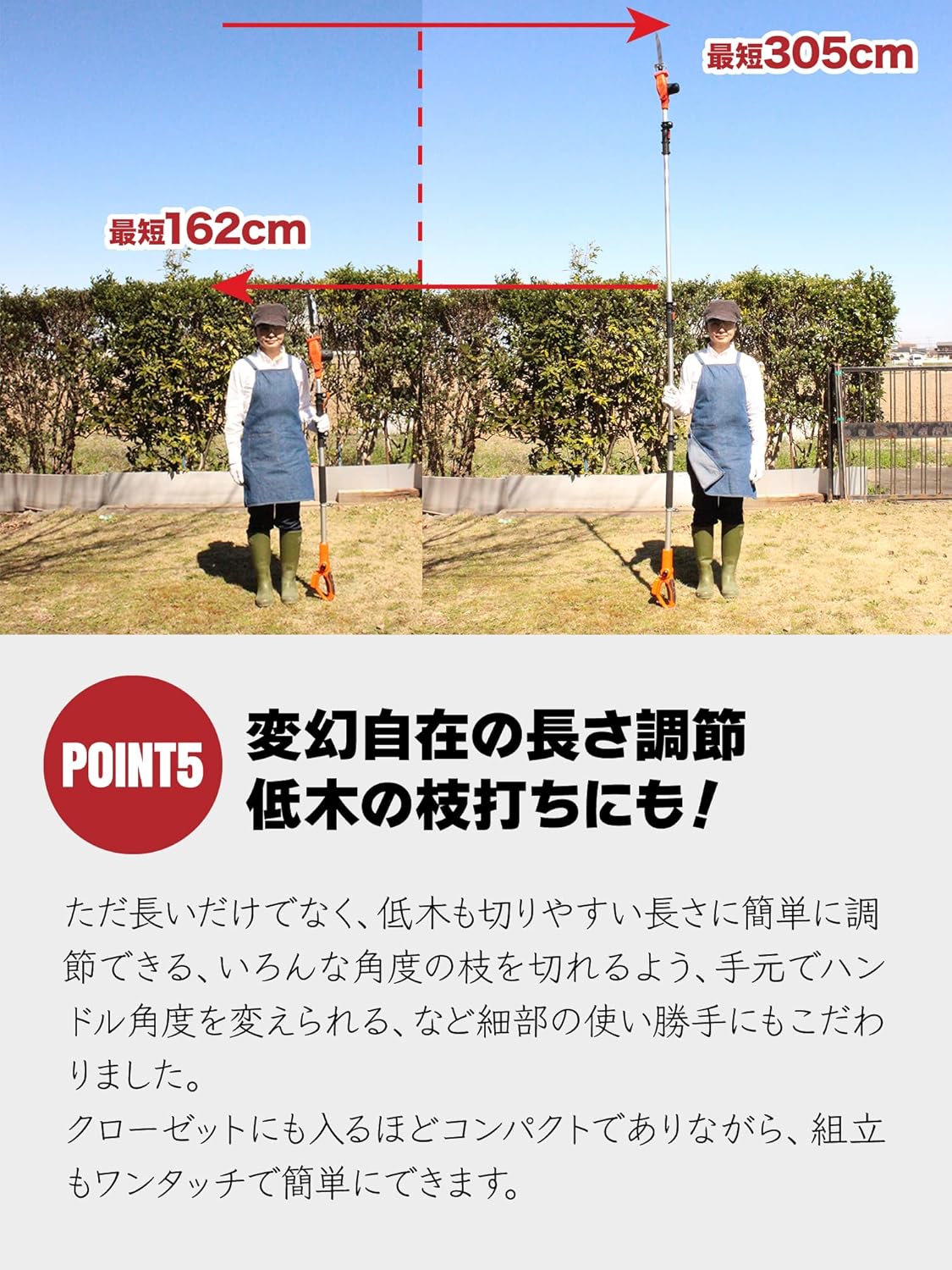 Comparison of the pruner at minimum (162cm) and maximum (305cm) extended lengths