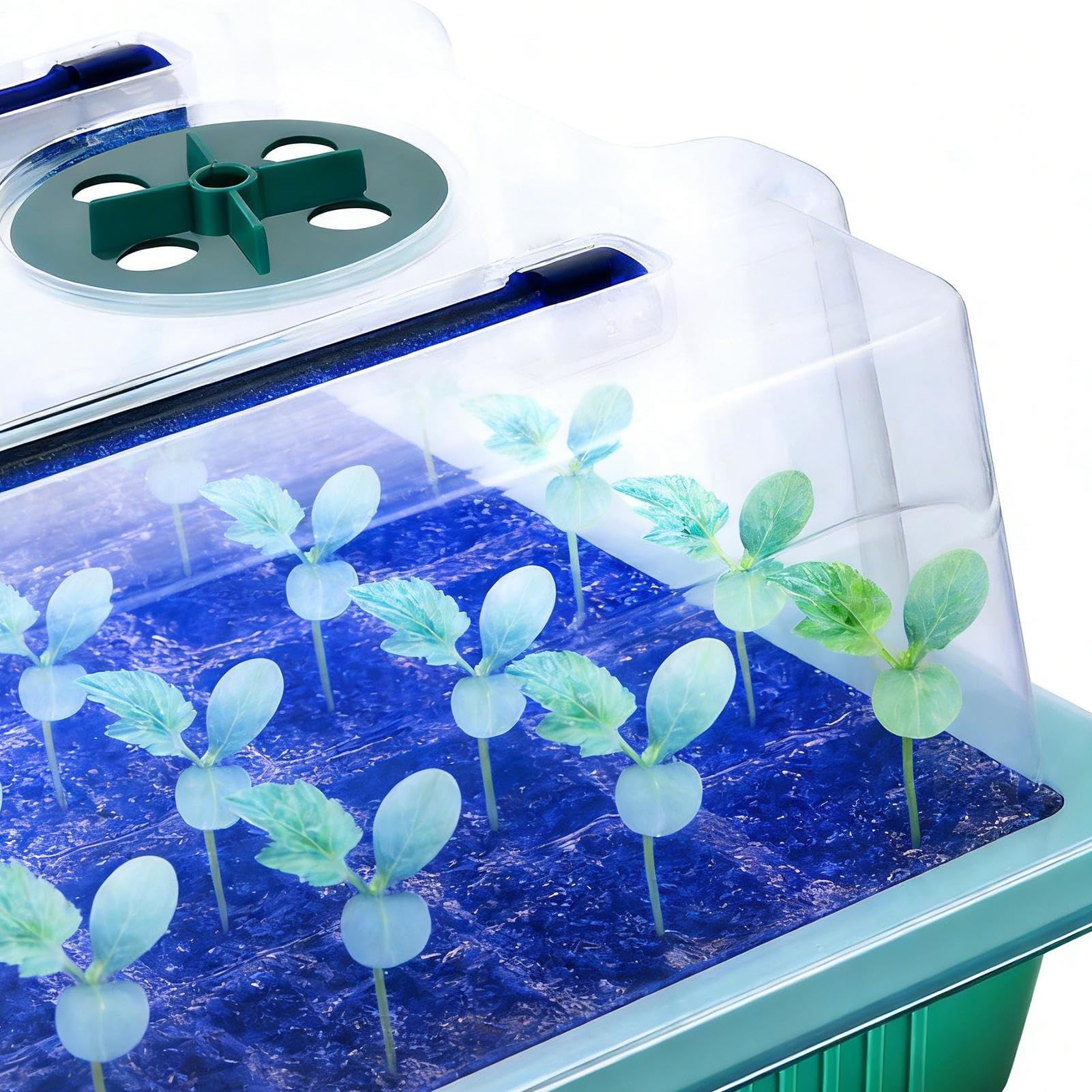 Kit de Germinación Maceta de Jardinería con 40 Alvéolos y Luz de Cultivo | Maceta de Vivero para Cultivo en Invernadero Interior para Cultivo de Verduras y Flores en Hogar Balcón Patio Jardín y Of
