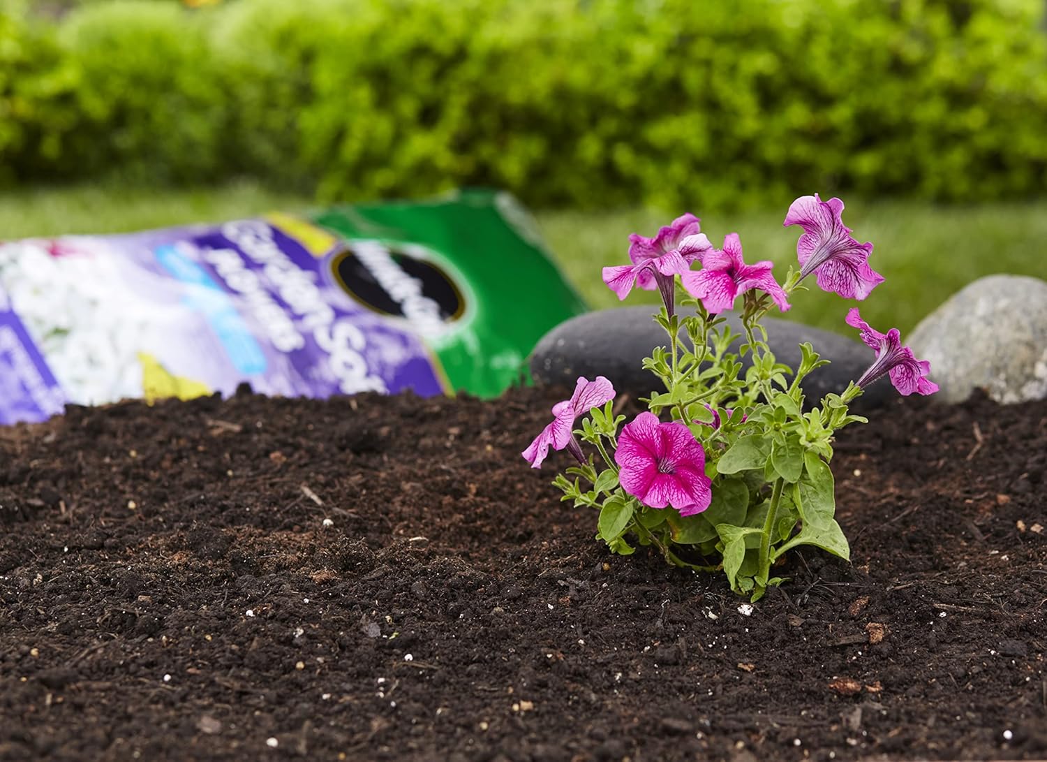 Best Soil For Flowers For Every Need Honest Reviews On