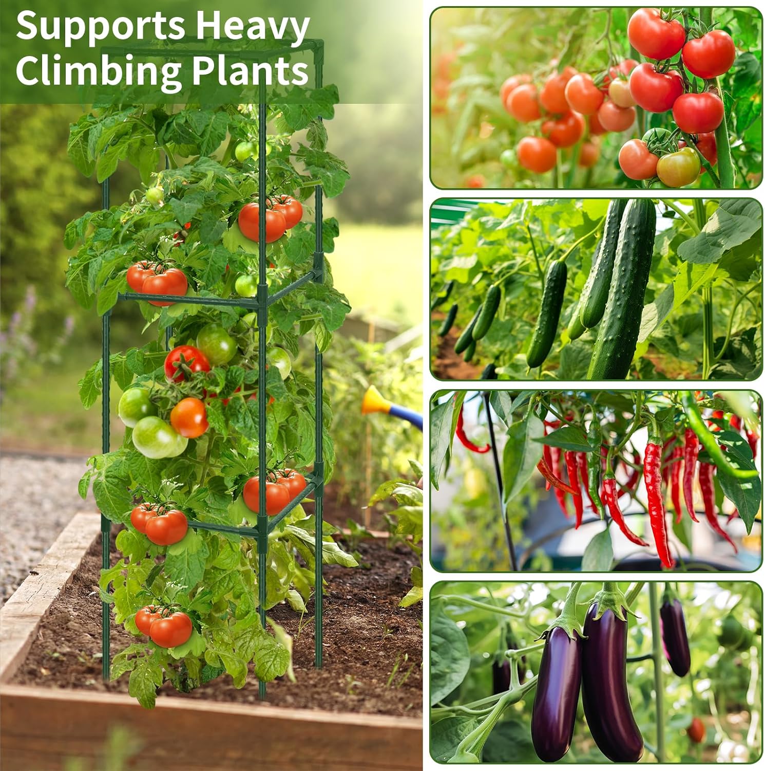 ROADPLUM 2 Pack 48" Tomato Cage for Garden, Heavy Duty Adjustable Plastic Coated Steel Pipe Tomato Stakes Trellis Plant Cages for Vegetable, Fruit, Flower, Rose Vine Climbing Plants