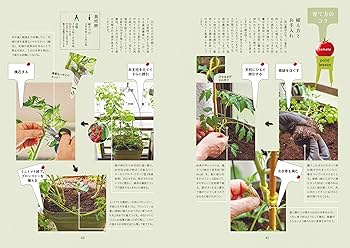ベランダで愉しむ 小さな寄せ植え菜園 | たなか やすこ |本