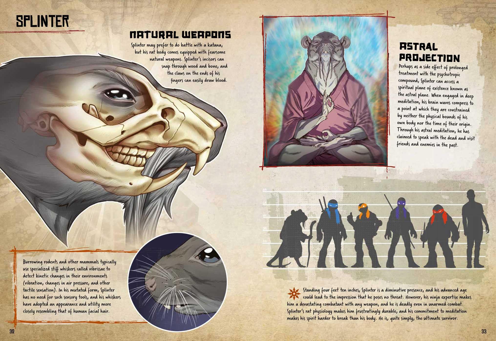 Teenage Mutant Ninja Turtles: Anatomy of a Mutant