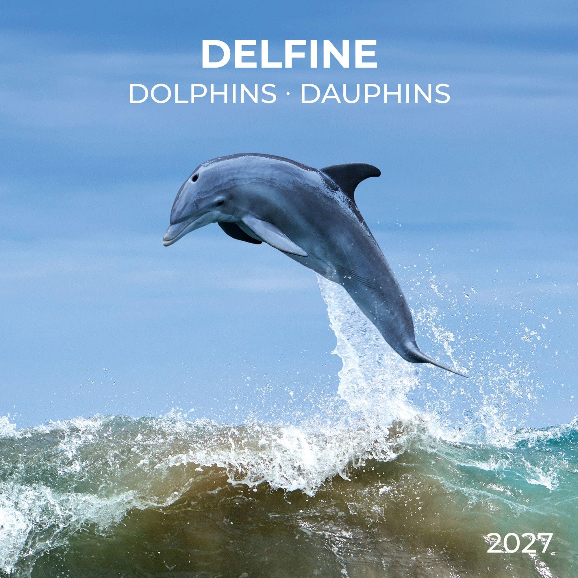 Delfine / Dolphins 2027: Kalender 2027