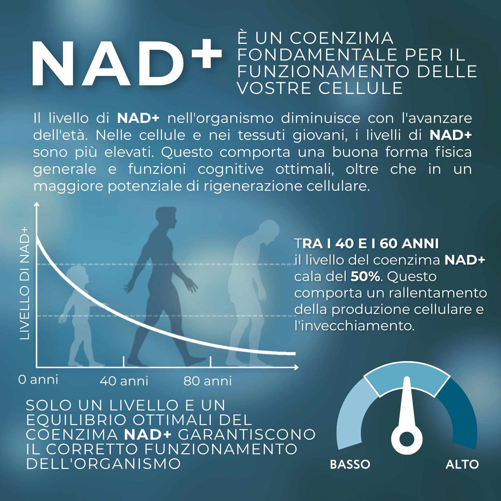 1-MNA, Integratore Anti-Età, Ottimizza NAD+, Biohacking, Supporto per la Salute Cellulare, Formulato Scientificamente con Biodisponibilità Maggiorata, Vegan, 30 Compresse