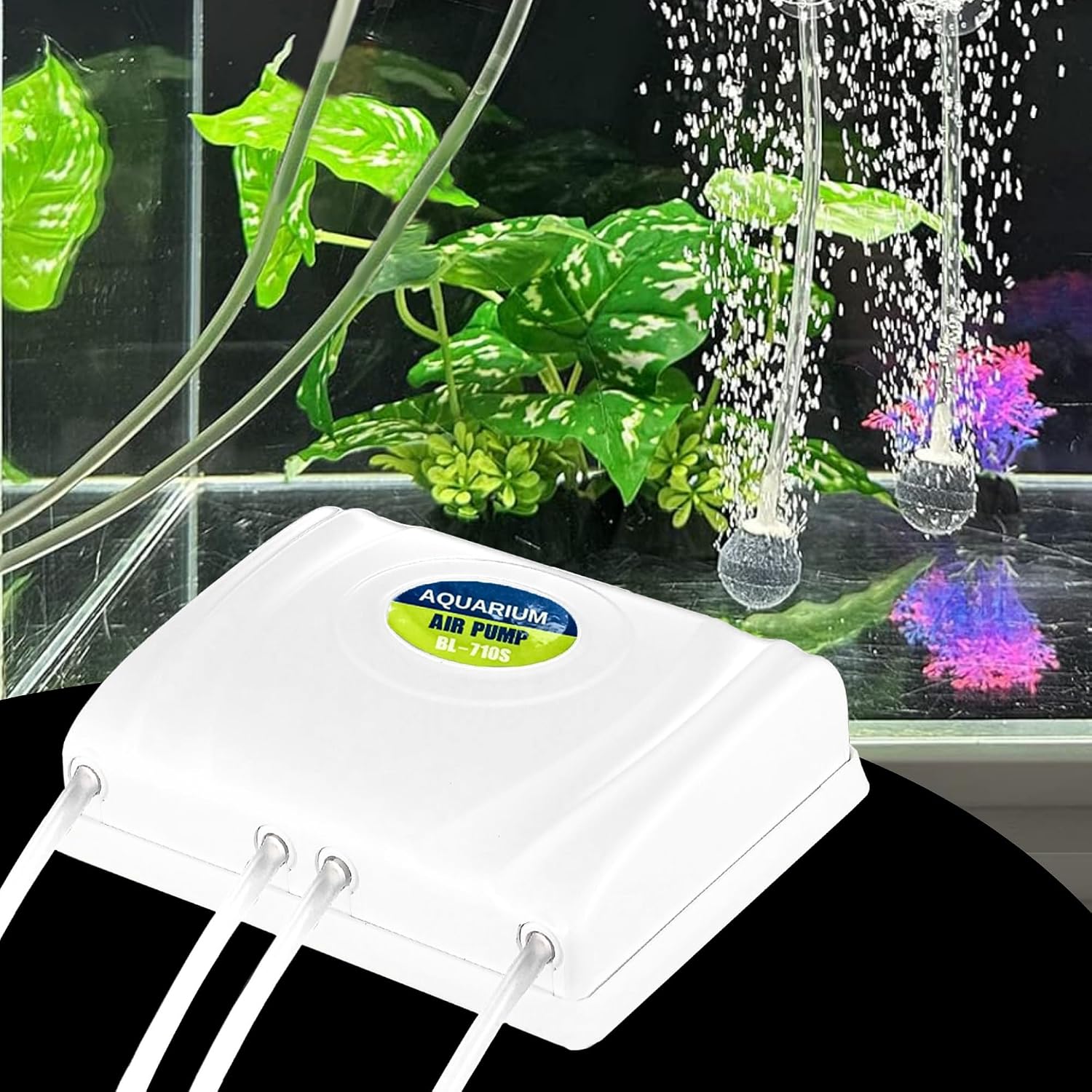 Improving O2 Levels In Reef Tank Reference: Buraq 4 Way Aquarium Air Pump Increase Oxygen Level Improve