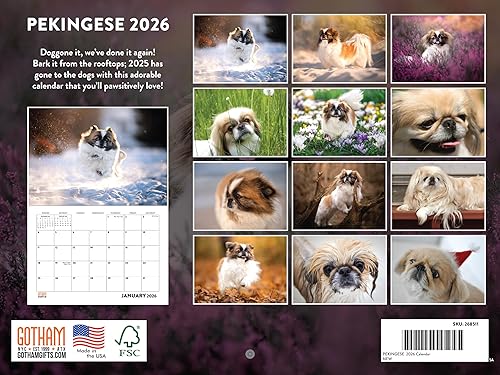 Vista 390 de Calendario Goldendoodle 2026 Golden Doodle mensual de pared calendario de 12 meses Fabricado en Estados Unidos