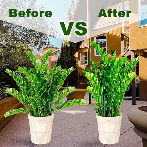 Miniatura 5 de HiGift Paquete de 10 estacas de soporte para plantas, estaca de metal semicircular para plantas de jardín, jaulas y soportes de peonía para