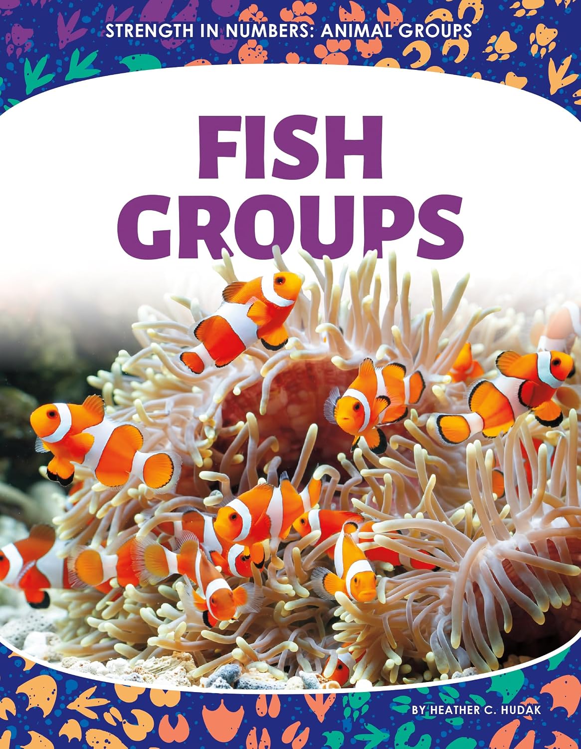 Fish Groups (Strength in Numbers: Animal Groups)