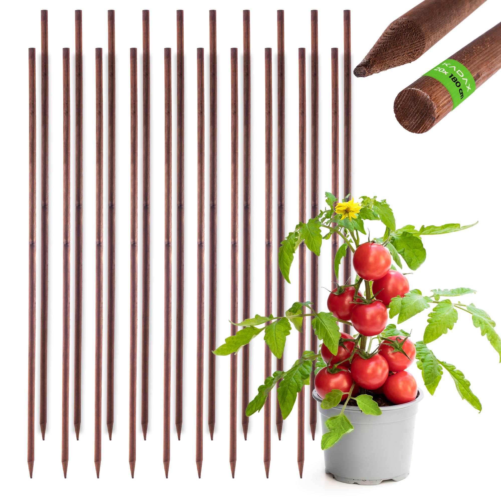 KADAX Rankhilfe aus Holz, imprägnierte Pflanzstäbe, Kletterpflanzen-Stab, wetterfeste Rankstange, Blumenstab, Rankgitter, Holzpflöcke, Pfähle (20, 28mm x 180cm)