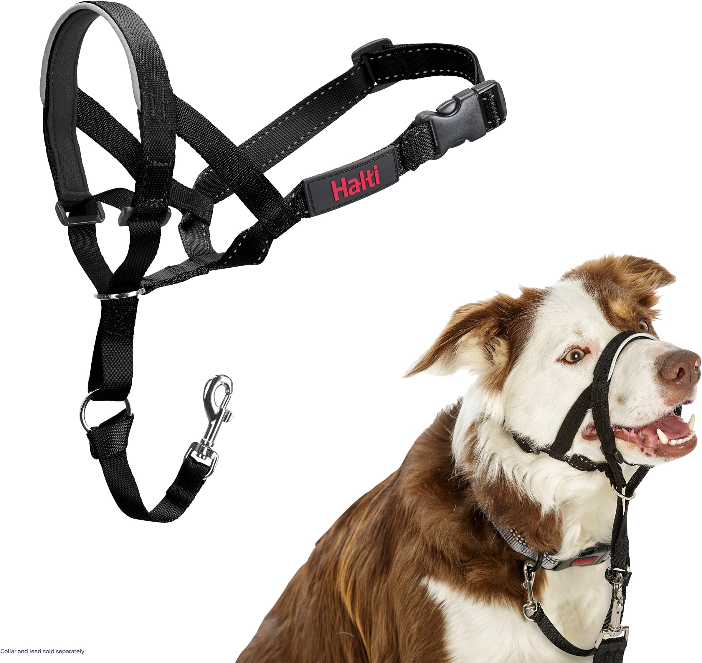Halti Headcollar - Stop Your Dog Pulling on the Lead. Adjustable, Reflective and Lightweight, with Padded Nose Band. Dog Training Anti-Pull Collar for Medium Dogs (Size 2, Black)