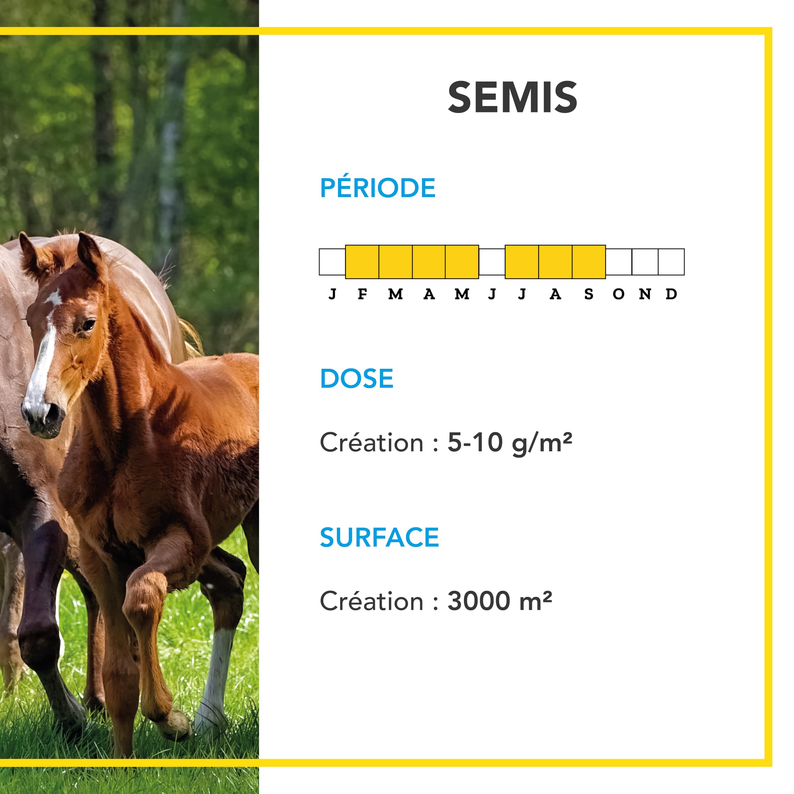 BARENBRUG - Mélange Chevaux - Horse Master Sud - Climats Secs - 10KG | Résiste au Piétinement et à l'Arrachement - Prairie Productive - Fabriqué en France