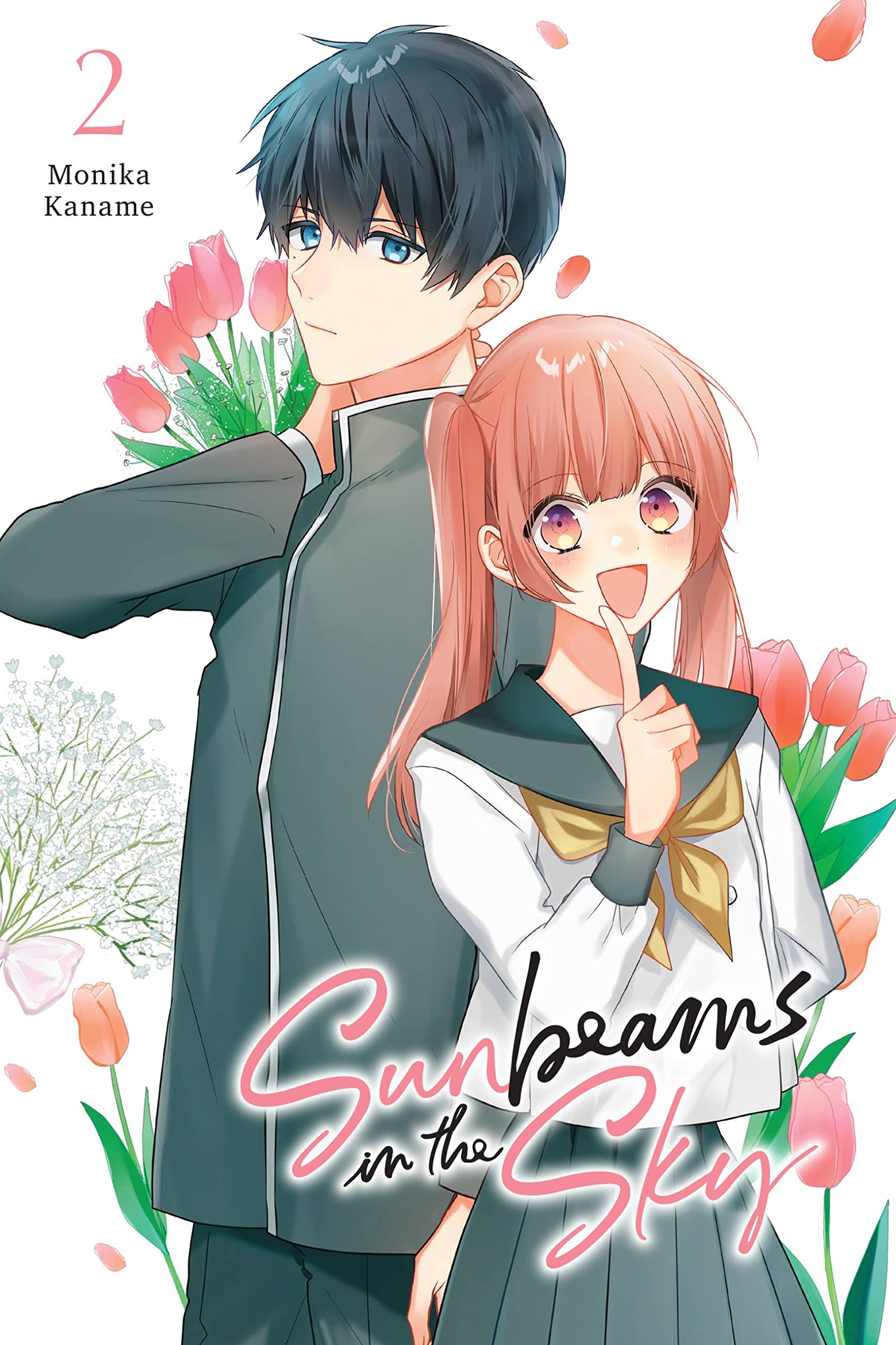 Sunbeams in the Sky, Vol. 2: Volume 2 (SUNBEAMS IN SKY GN)