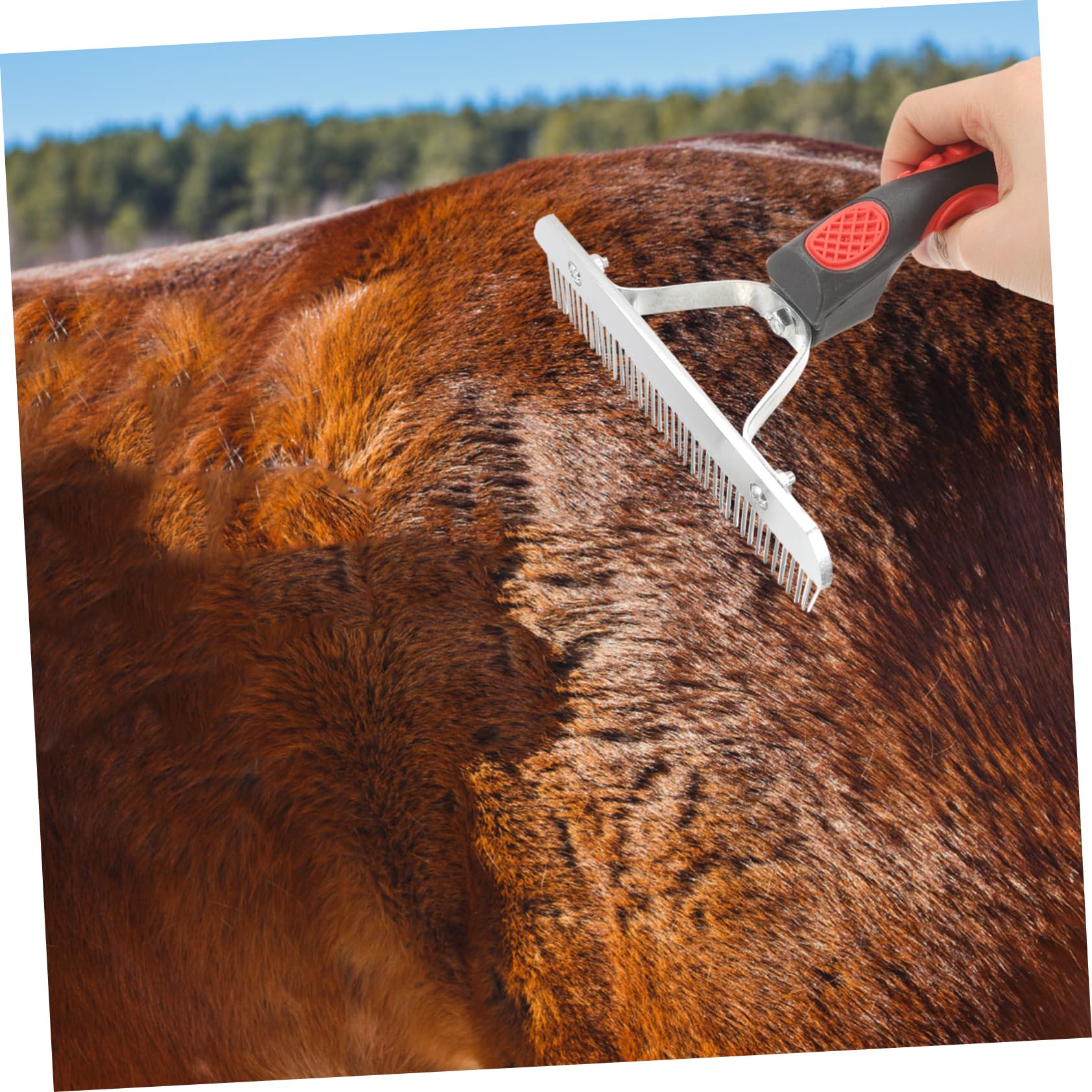 Kisangel 4 Piezas De Rastrillo Depilatorio Para El Cuidado De Caballos Rastrillo Para Trenzar Pelo De Caballo Cepillos Para Caballos Cepillo Para Perros Cepillo Para