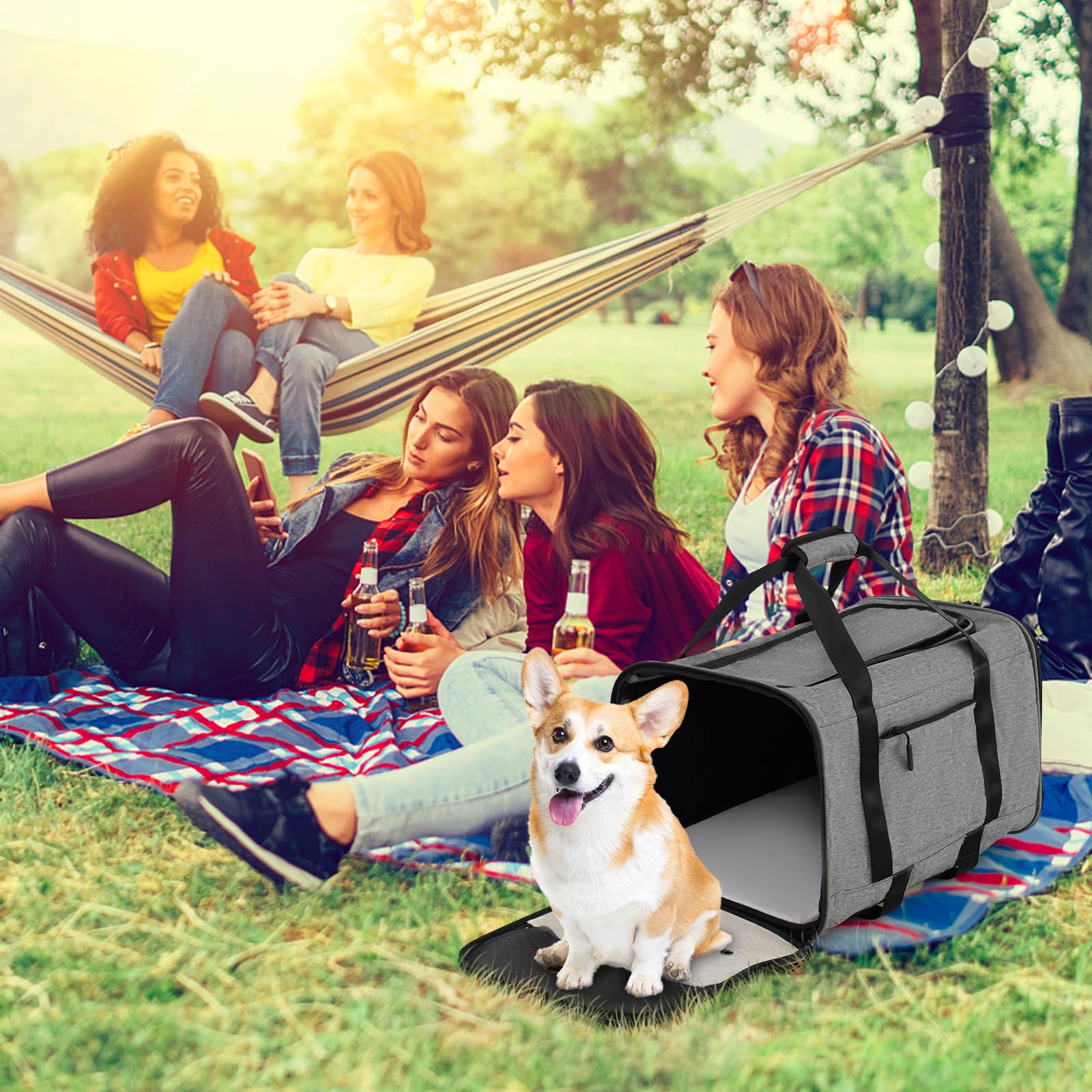 SORAS Transportbox Katze 57 x 34 x 34 cm, Flatbare Transporttasche für Hund mit Rädern, Teleskopgriff, doppelseitigen Kissen, extra Tasche, Reisebox für kleine & mittelgroße Haustiere