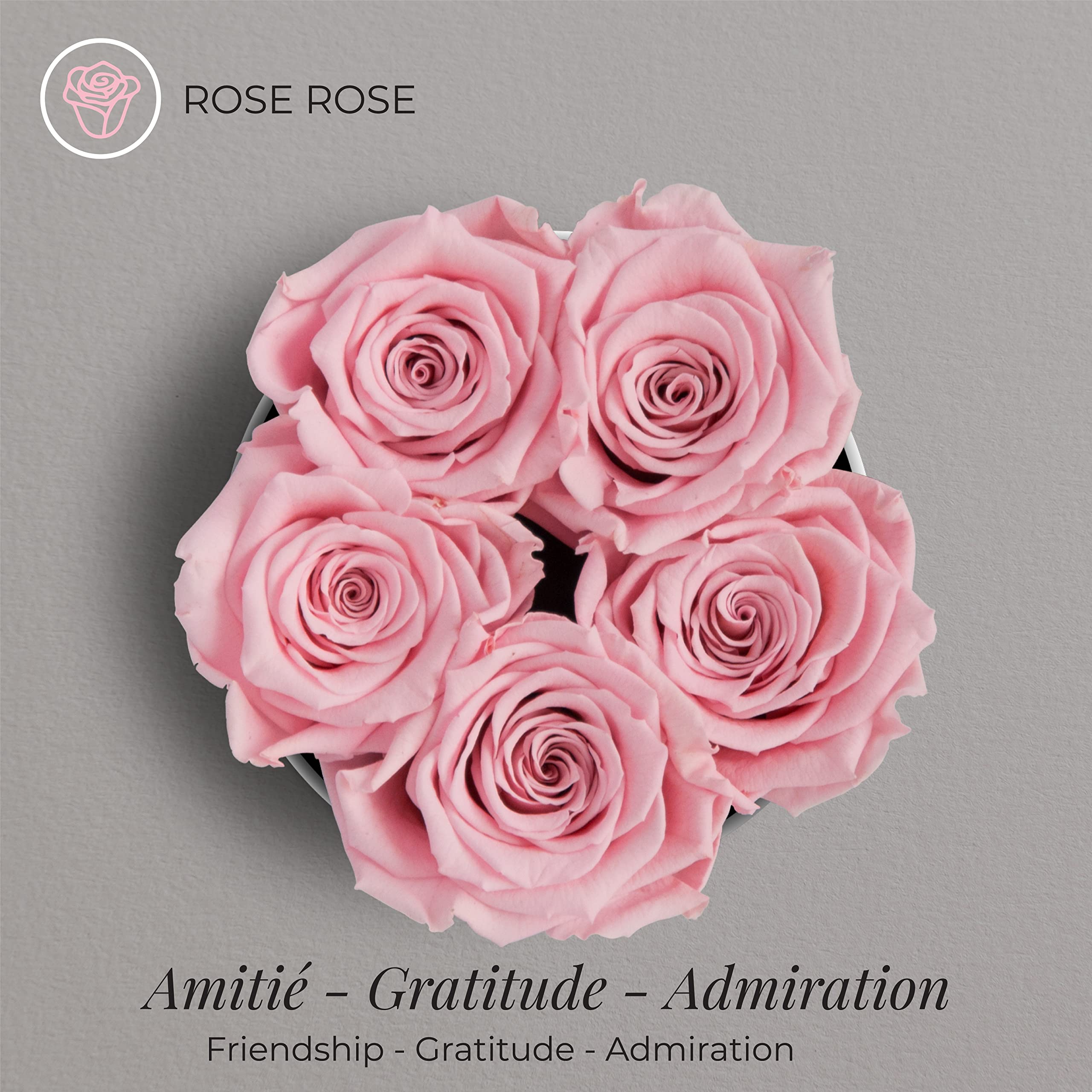 Amoroses Petite - Boîte Cadeau 5 Roses Éternelles Stabilisées - Elégant Bouquet de Fleurs Véritables | Fête des Mères (Petite Boîte Blanche avec Roses Roses)
