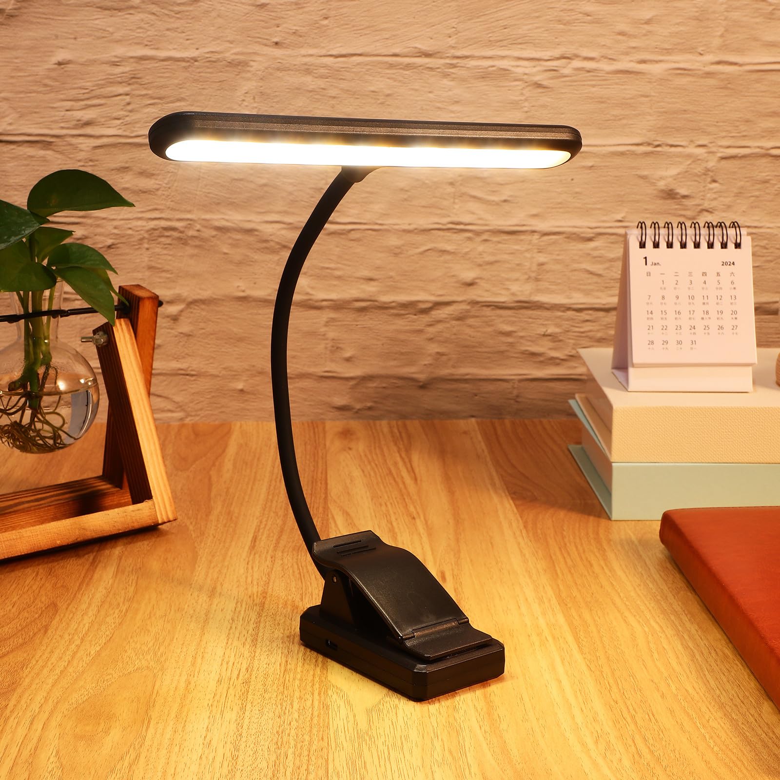 Lampada da Lettura Clip per Pianoforte e Leggio, Luce LED Ricaricabile 27 Luci Display Potenza e 6 Livelli, Adatta per Musicisti e Lettura Serale