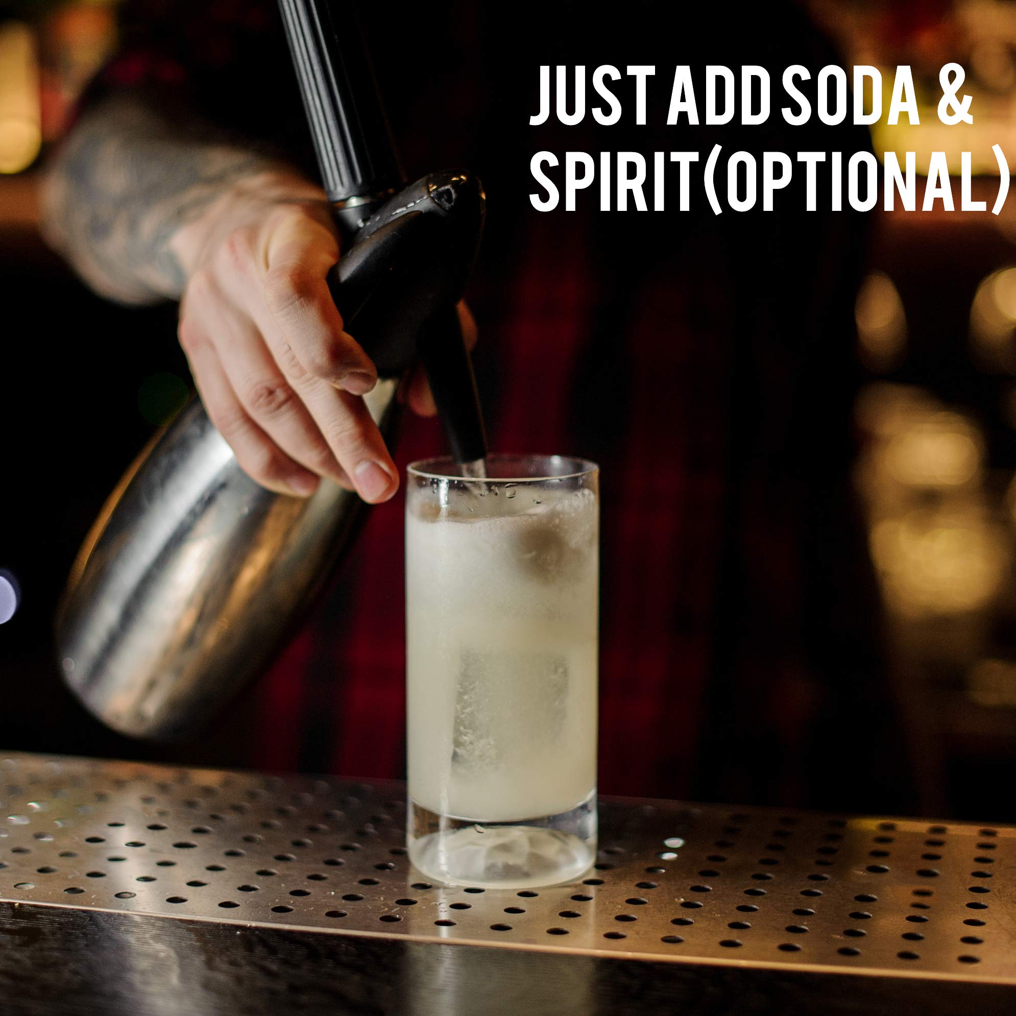 Top Hat East India Craft Concentrated Quinine Tonic Drink Syrup 5x Natural Quinine Concentrate