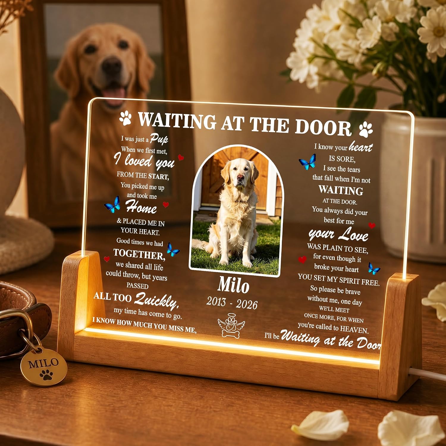 Personalized Pet Memorial Gifts, Custom Dog Cat Memorial Light with Photo Name Date, Pet Loss Sympathy Gift, Rainbow Bridge Remembrance Keepsake Plaque