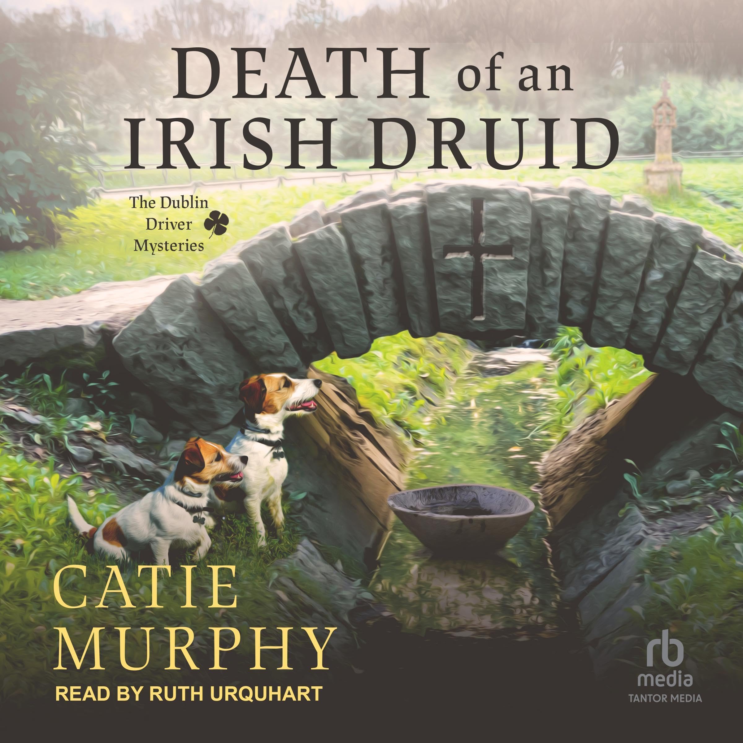 Cover art for Death of an Irish Druid