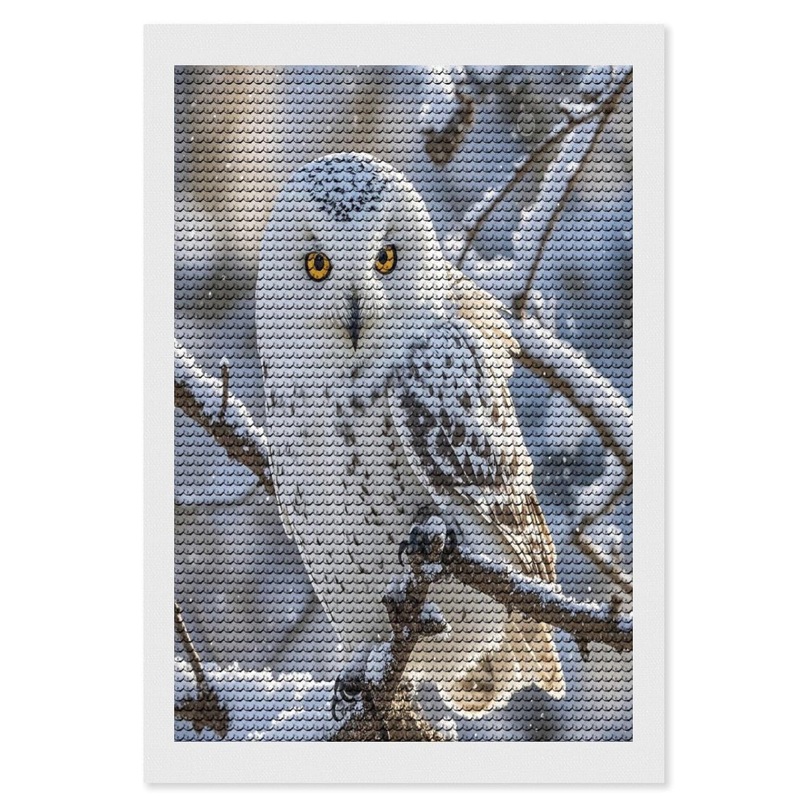 FekiLoot Winter White Owl Diamond Painting Kits for Adults Full Round Drill Diamond Art Kits for Beginners 5D DIY Diamond Dots Paintings Diamonds Pictures Gem Art Home Wall Decor 8"x12"
