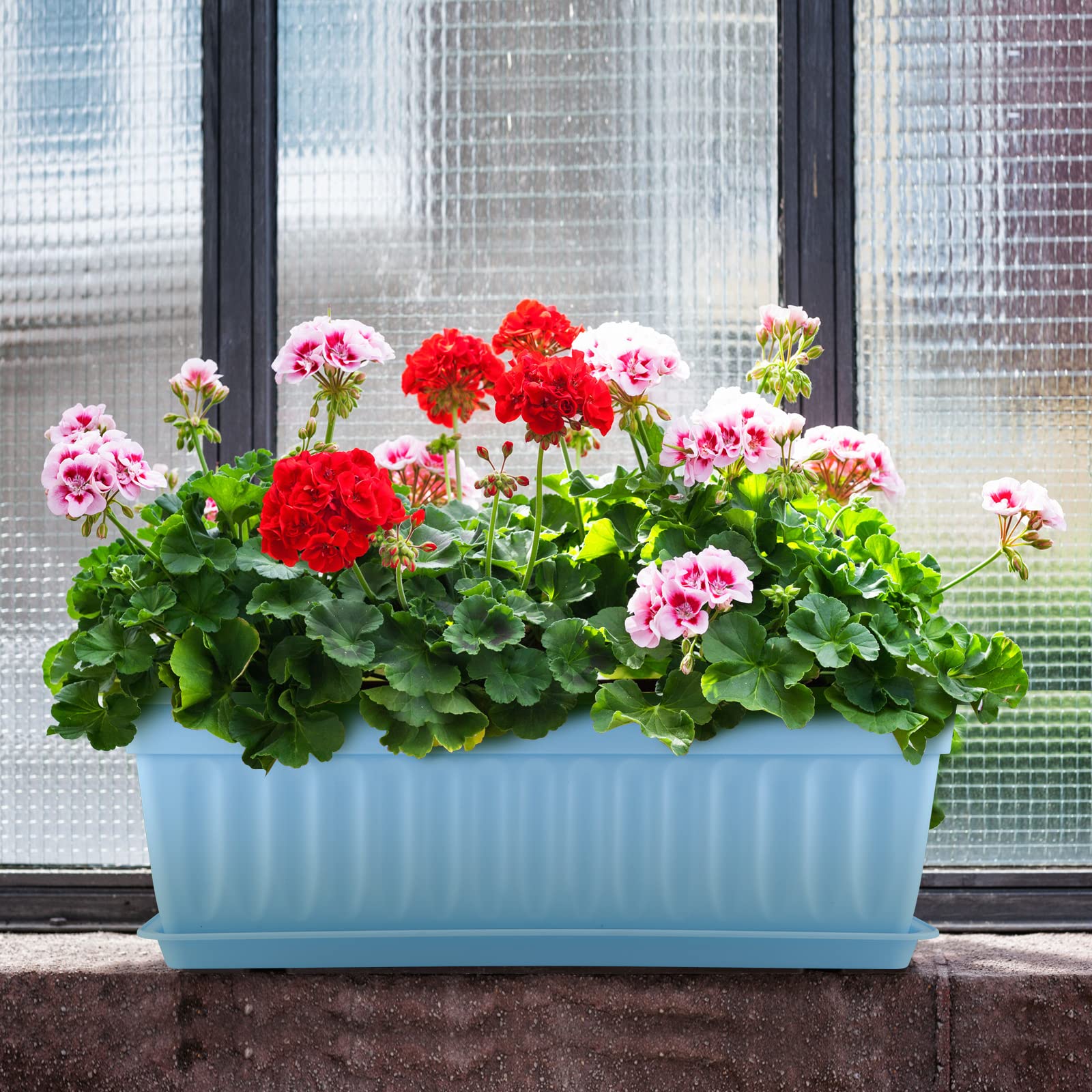 Tofficu 10 Vassoi Rettangolari Per Vasi – Sottovasi In Plastica Antigoccia – 18 X 14 Cm – Colore Rosso – Per Piante Grasse, Bonsai E Fiori
