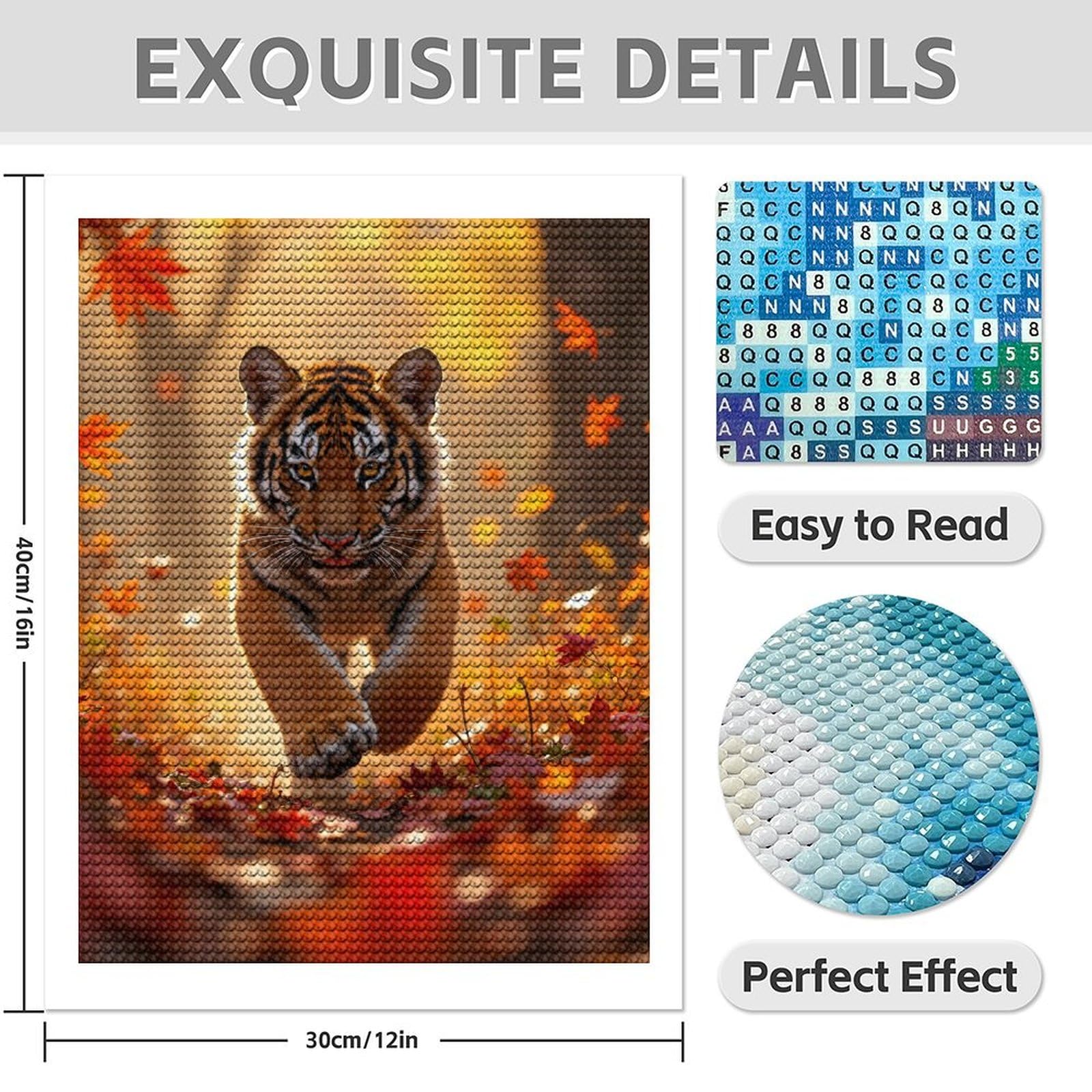 Amazon.com: Diamond Art Kits for Adults - Tiger Cub Autumn Leaves