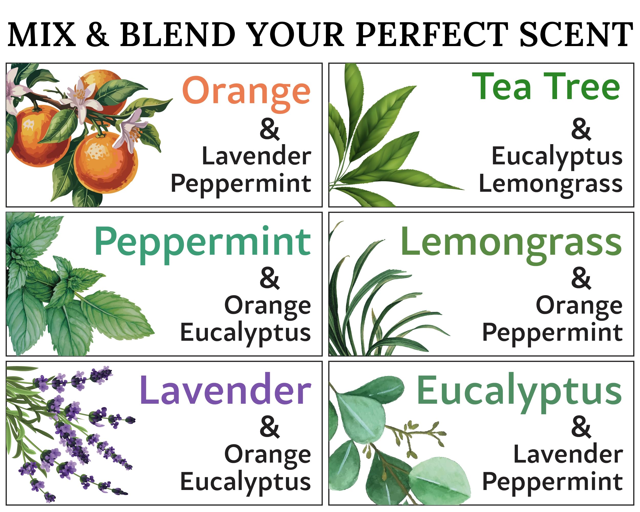 Lot d'huiles essentielles – 4 huiles et 2 mélanges, 6 meilleures huiles essentielles pour diffuseurs pour la maison, le soulagement du stress, le sommeil sérénité, aromathérapie, menthe poivrée,