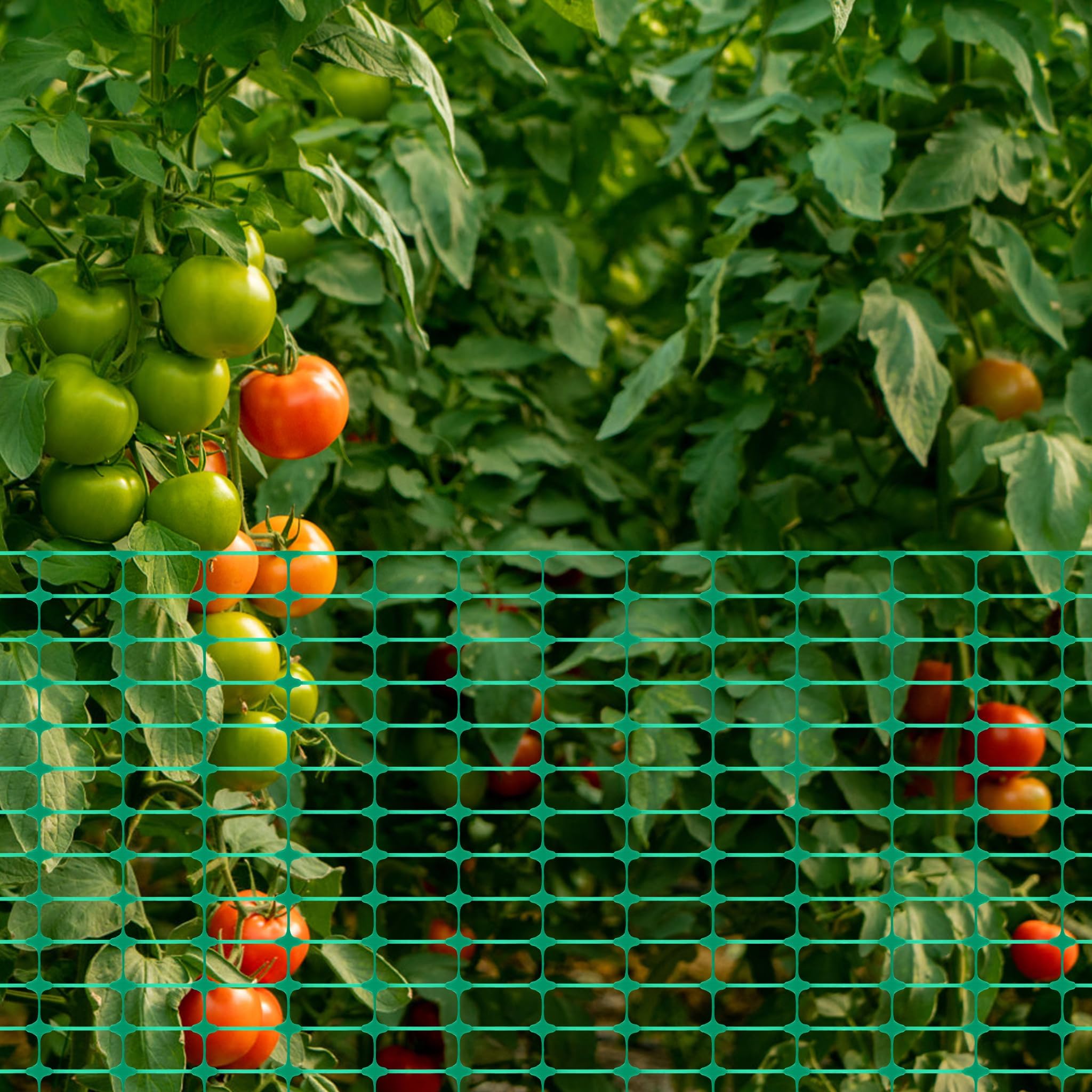 ACXIN Absperrzaun 1 x 80m – Schutznetz mit 75 x 35mm Maschenweite – Weidezaun, Geflügelnetz, Begrenzungszaun, Hundezaun, Warnnetz für Bauernhof & Garten, Grün (1 Rolle)
