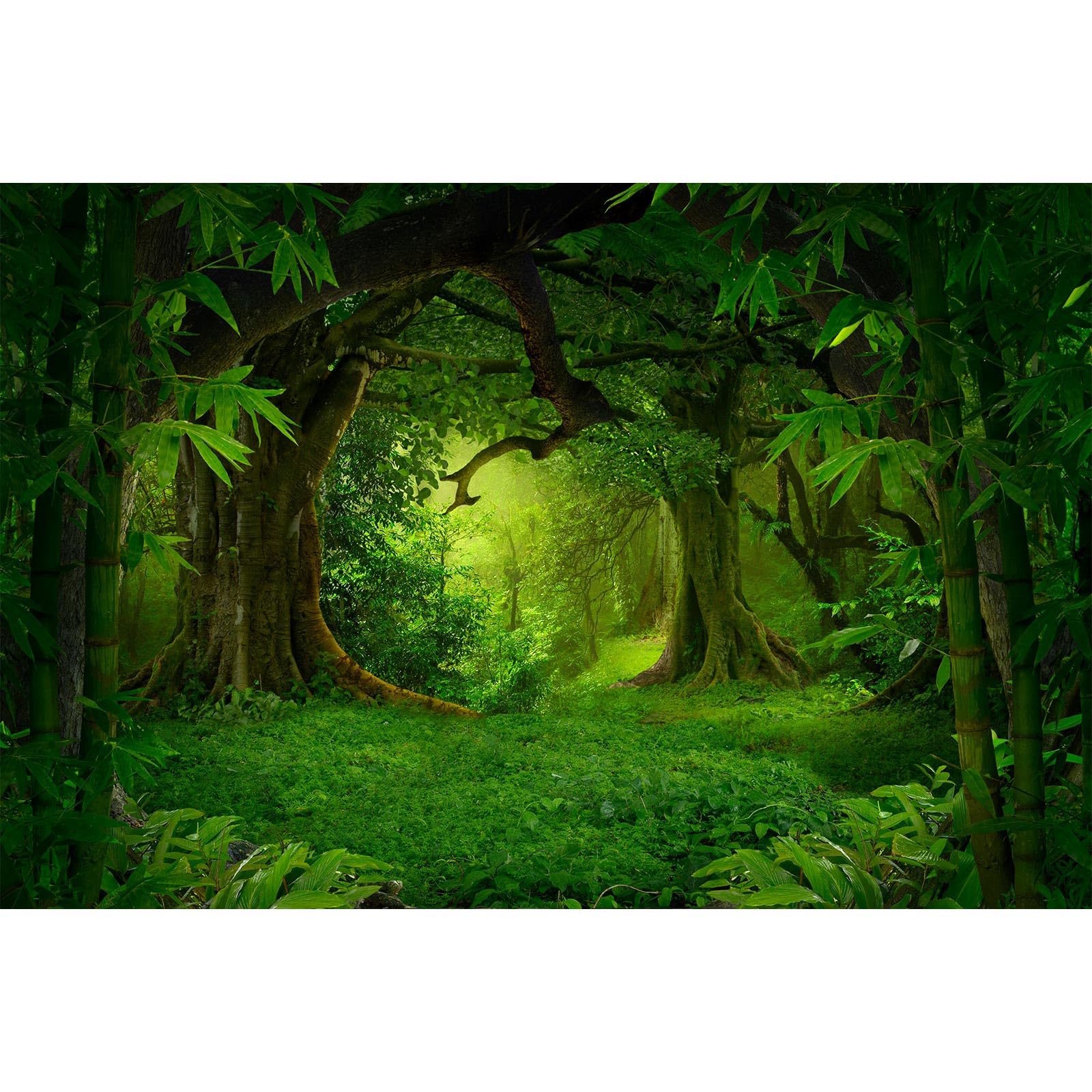 Jungle Forest Backdrop Rainforest Huge Trees Natural Landscape Photography Background Outdoorsy Camping Theme Party Backdrops Spring Mysterious Jungle
